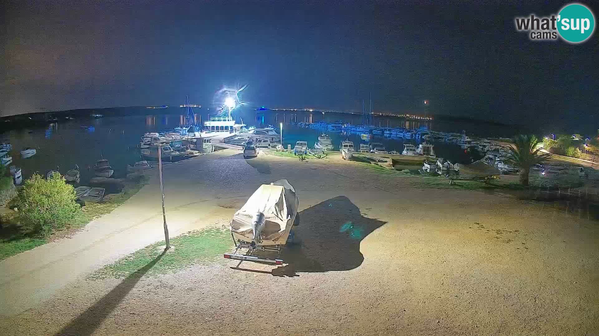 Camera en vivo Povljana – Pag isla