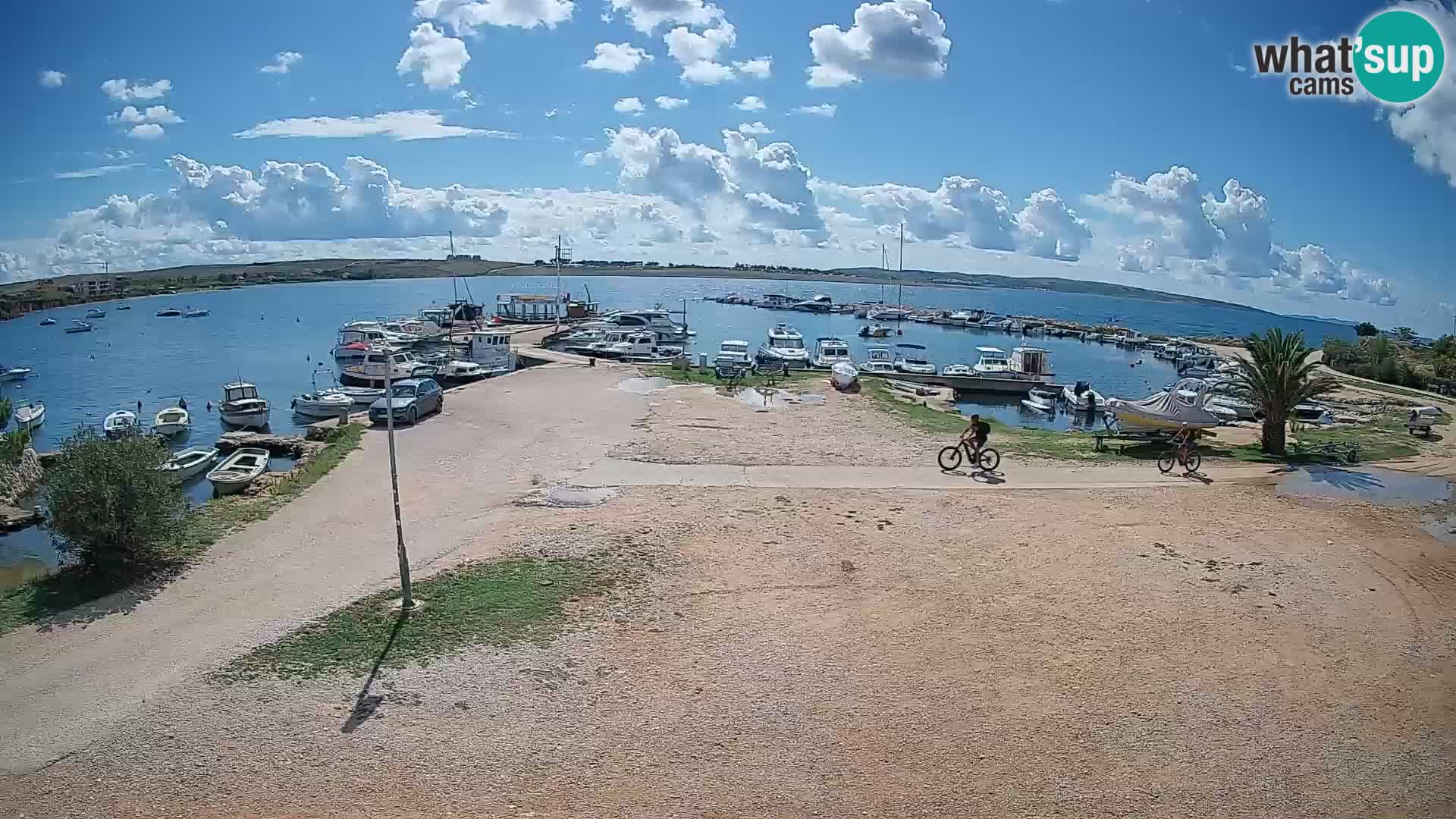 Camera en vivo Povljana – Pag isla