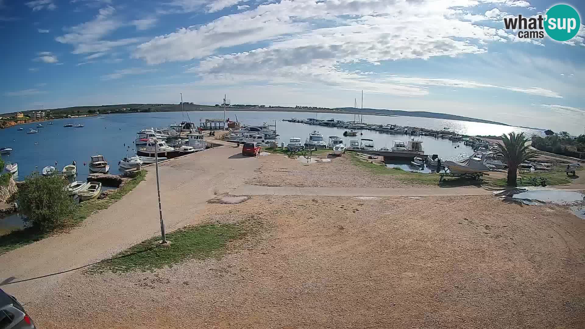 Camera en vivo Povljana – Pag isla