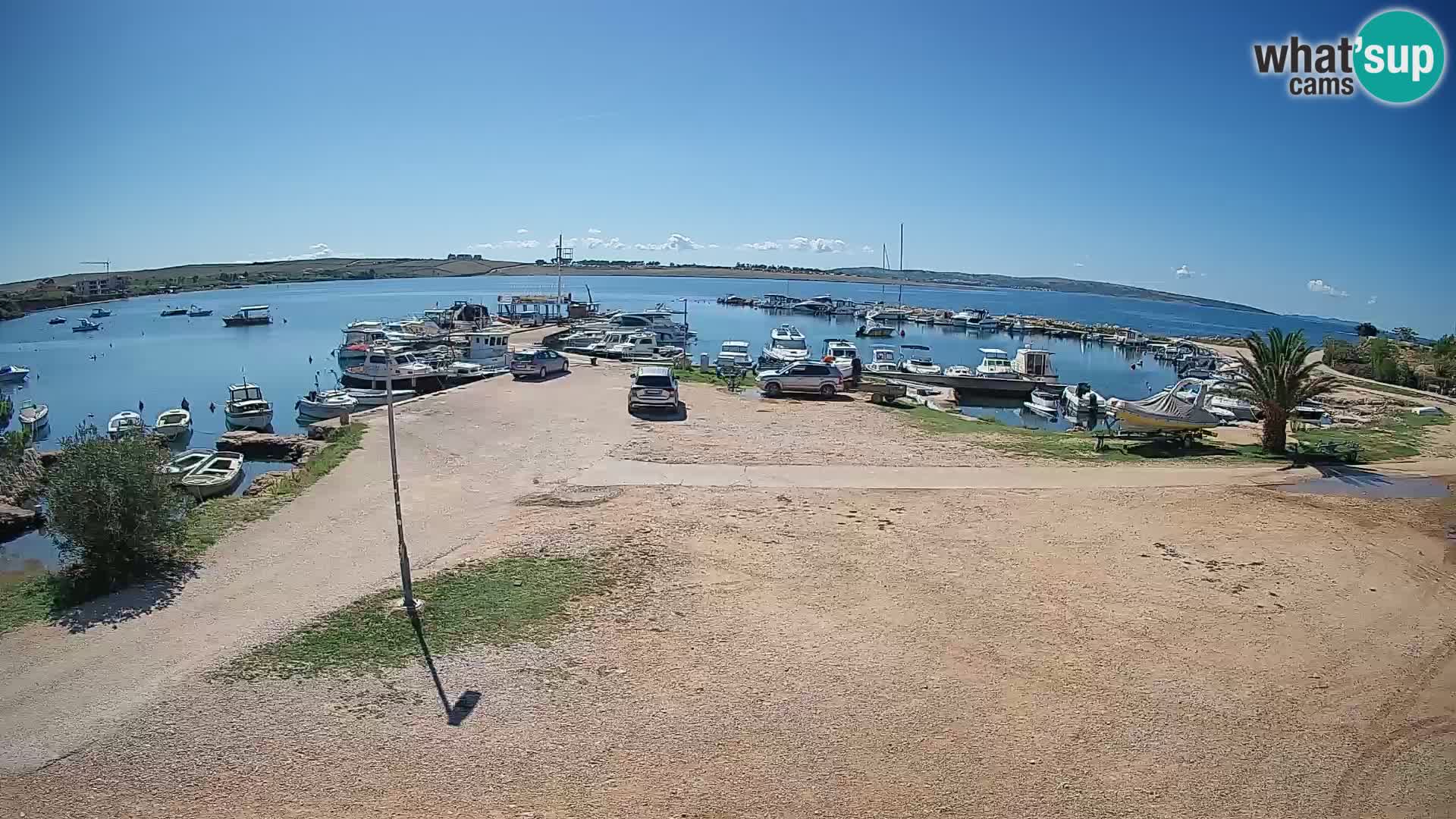 Camera en vivo Povljana – Pag isla