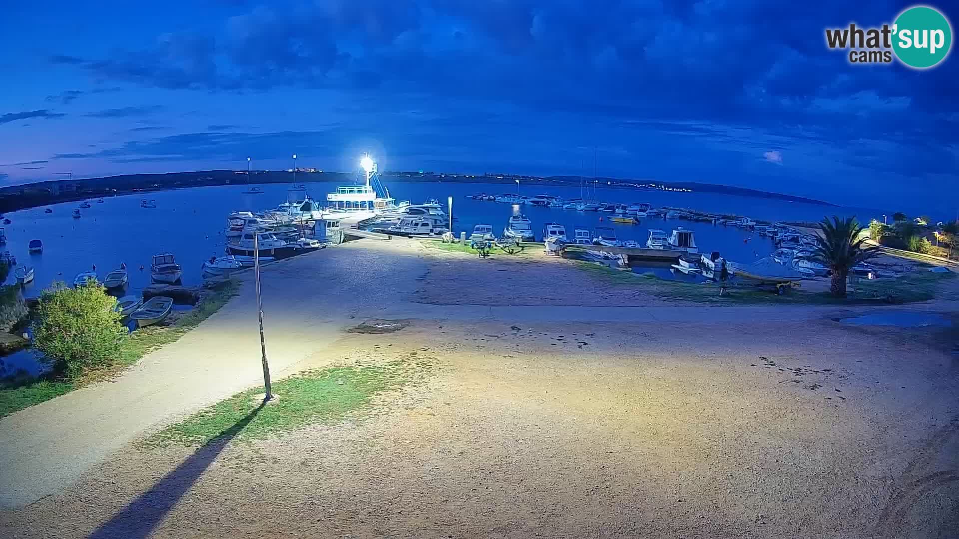 Camera en vivo Povljana – Pag isla