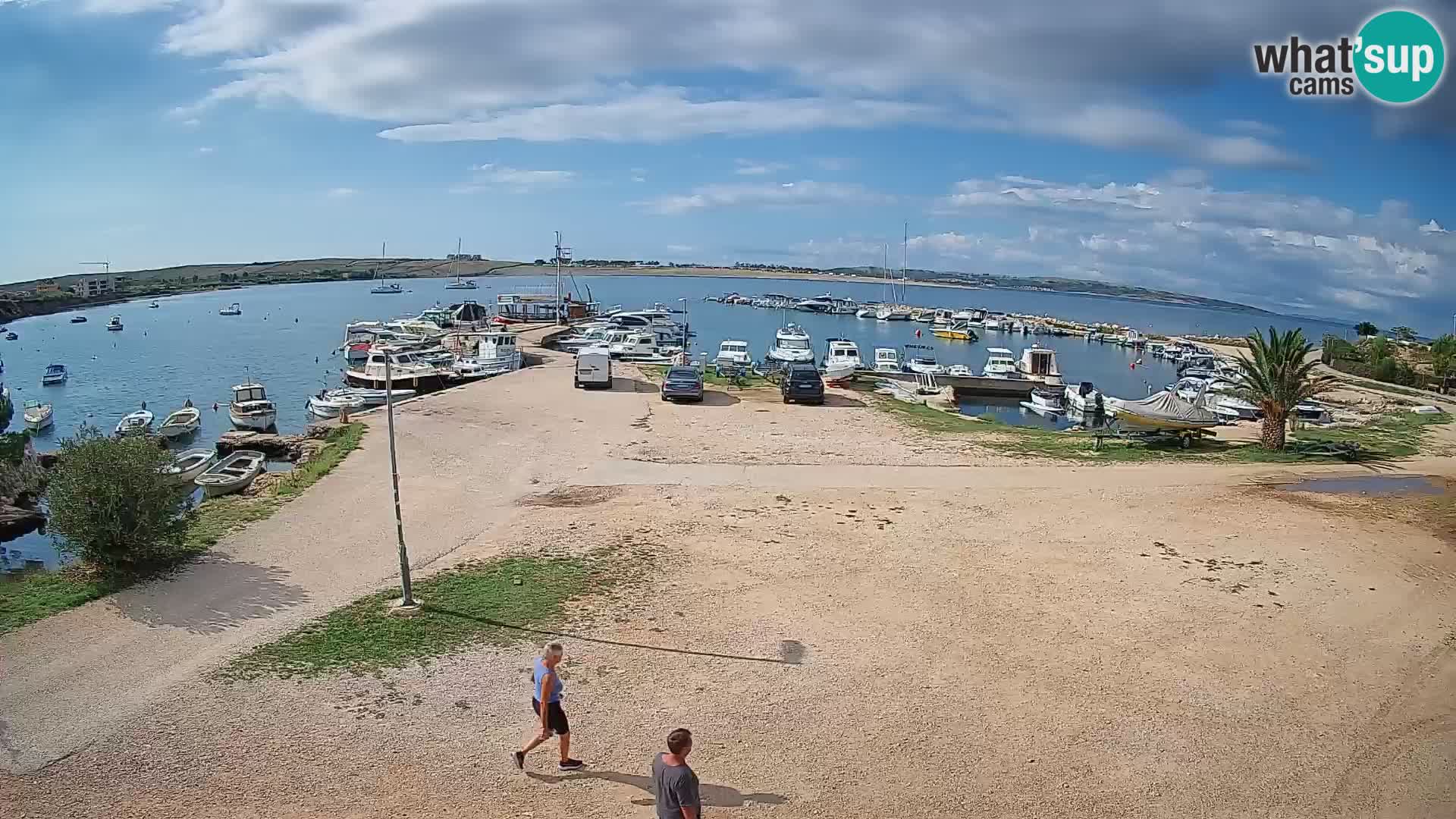 Webcam Povljana – Pag insel