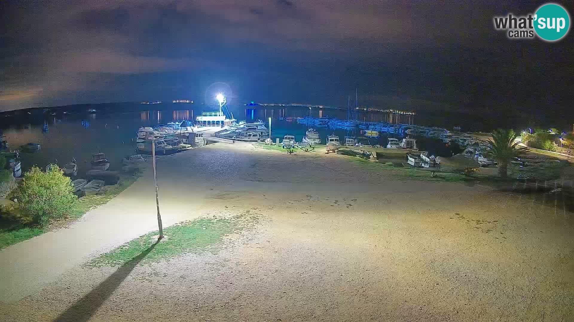 Camera en vivo Povljana – Pag isla