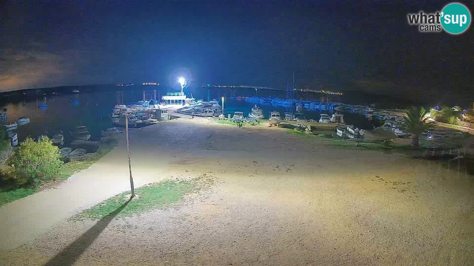 Livecam Pogliana – isola di Pago