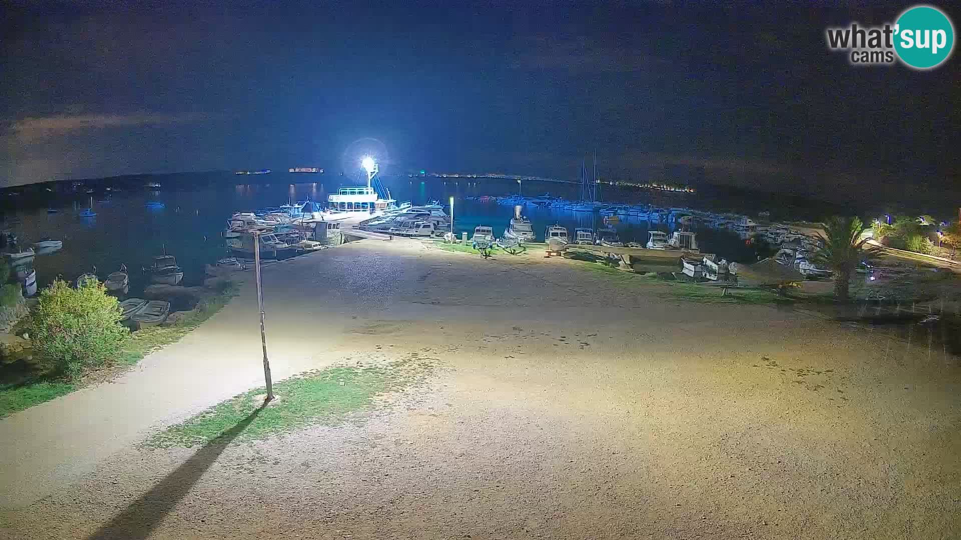 Camera en vivo Povljana – Pag isla