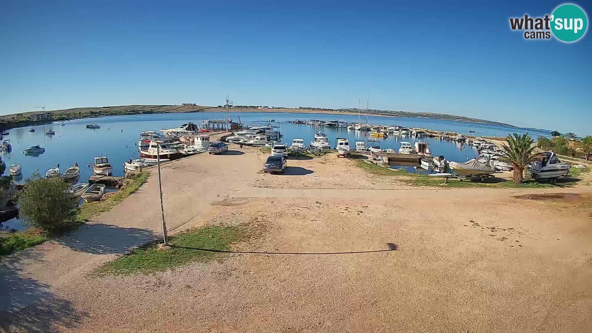 Camera en vivo Povljana – Pag isla