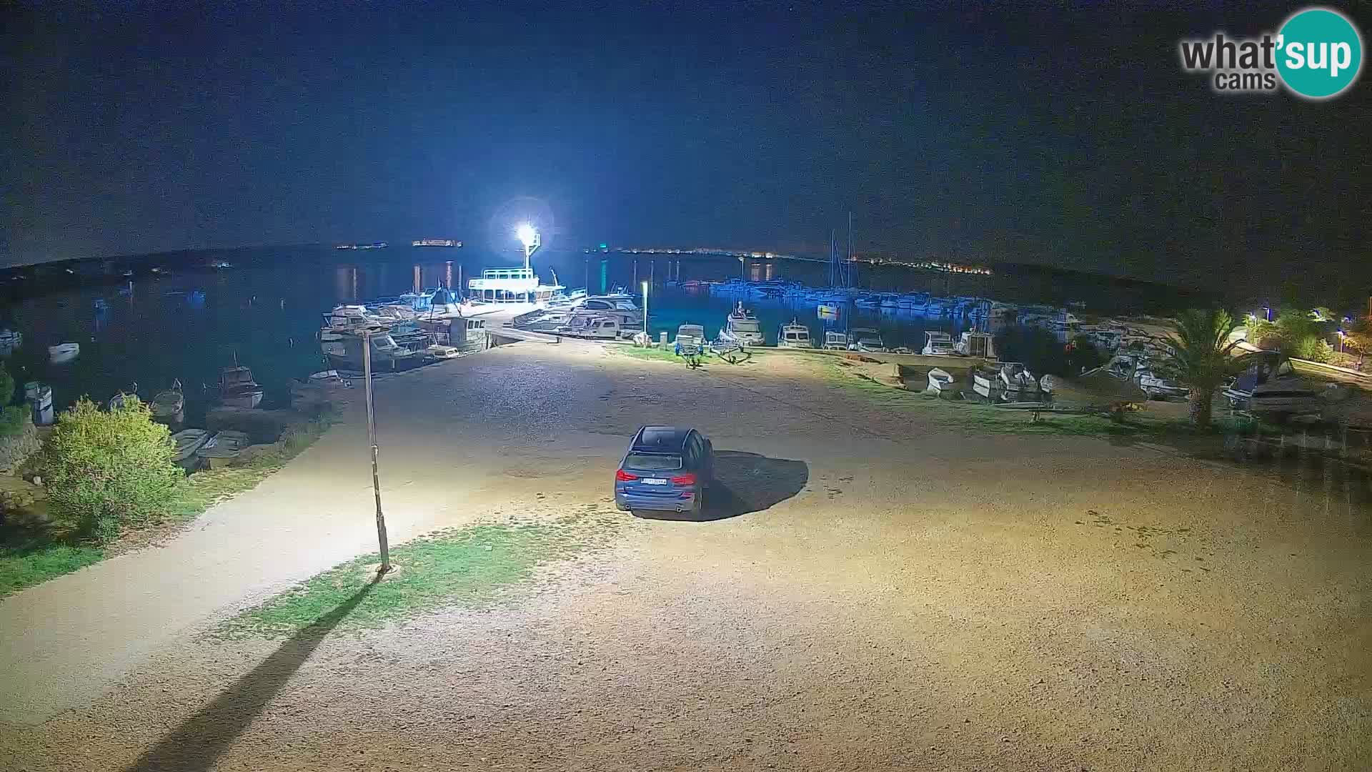 Camera en vivo Povljana – Pag isla