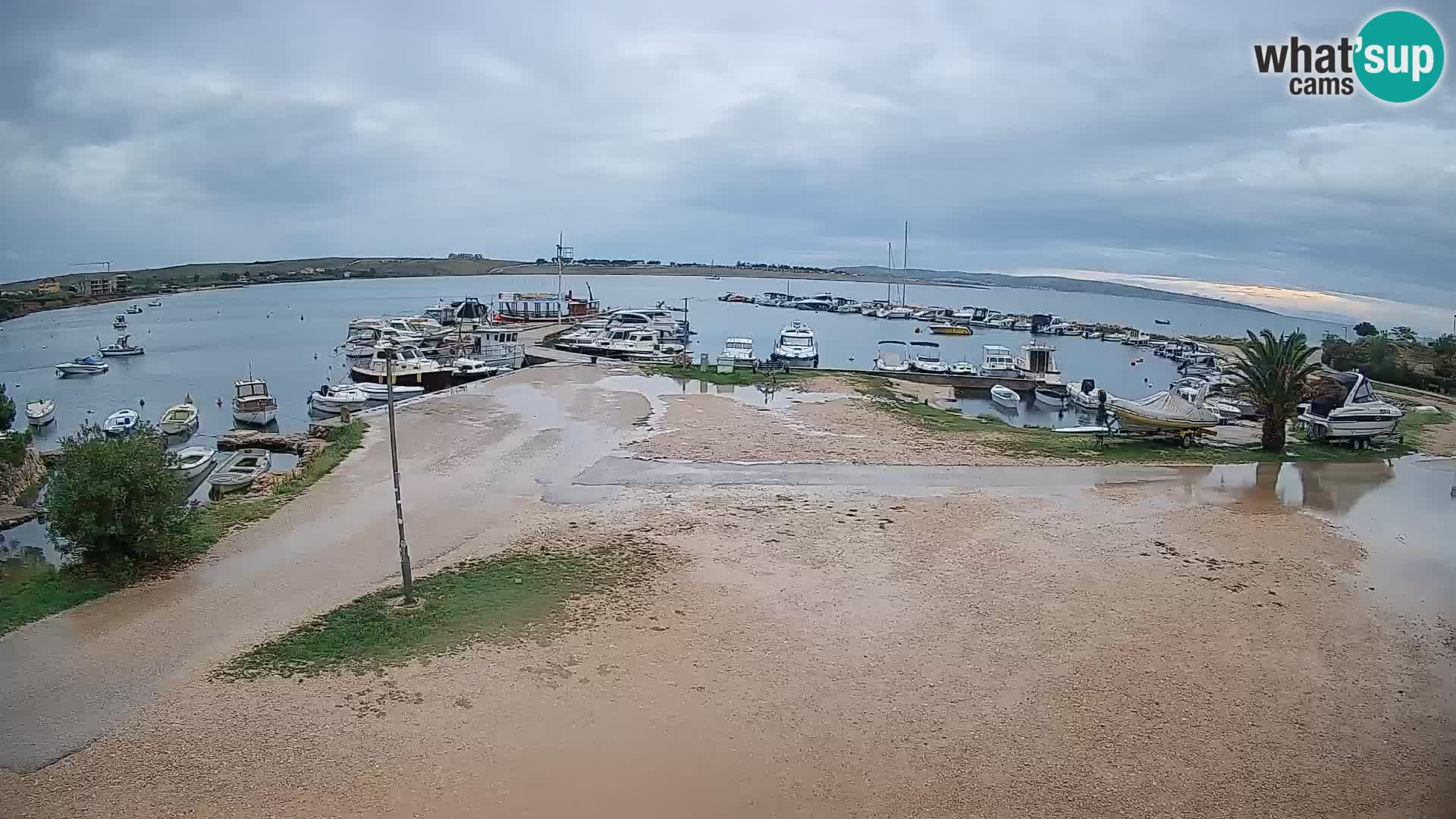 Livecam Pogliana – isola di Pago