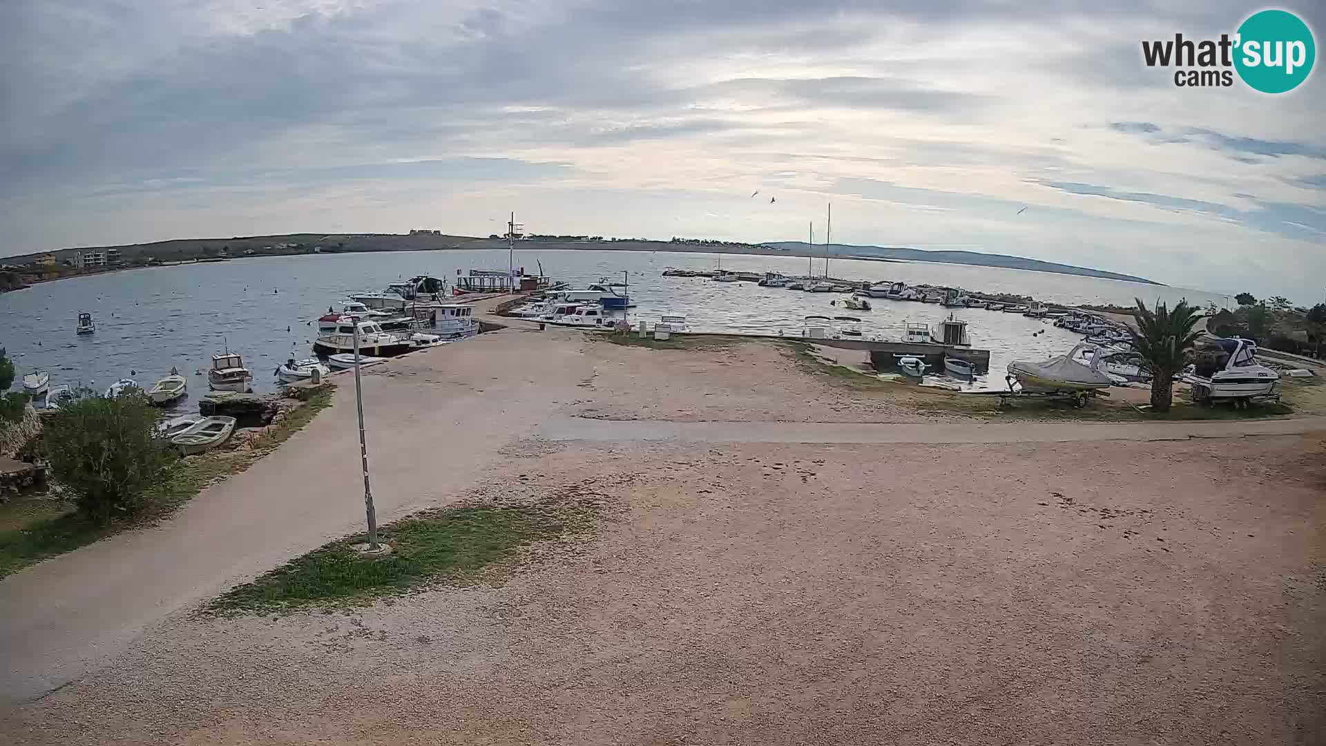 Livecam Pogliana – isola di Pago