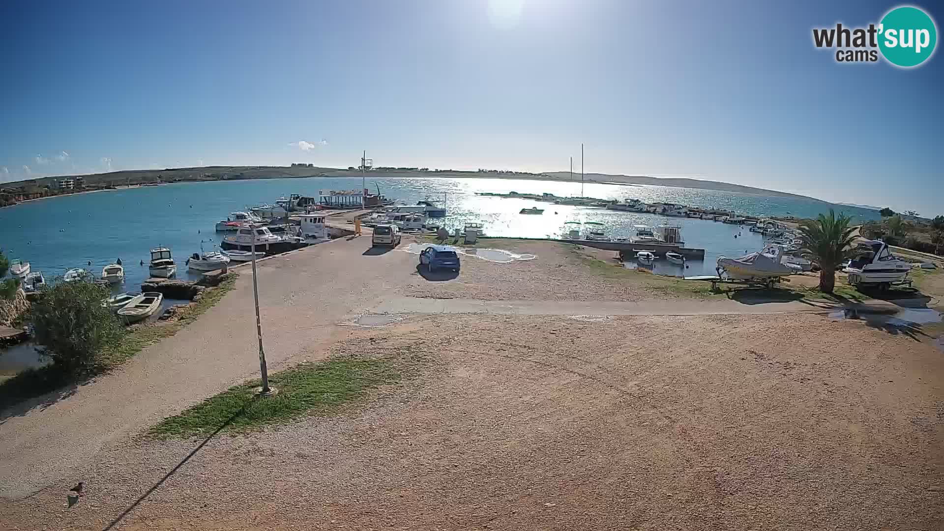 Camera en vivo Povljana – Pag isla