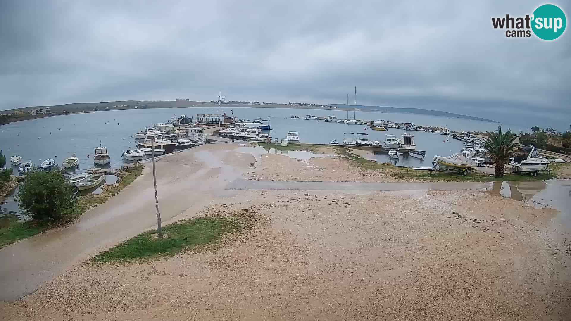 Camera en vivo Povljana – Pag isla