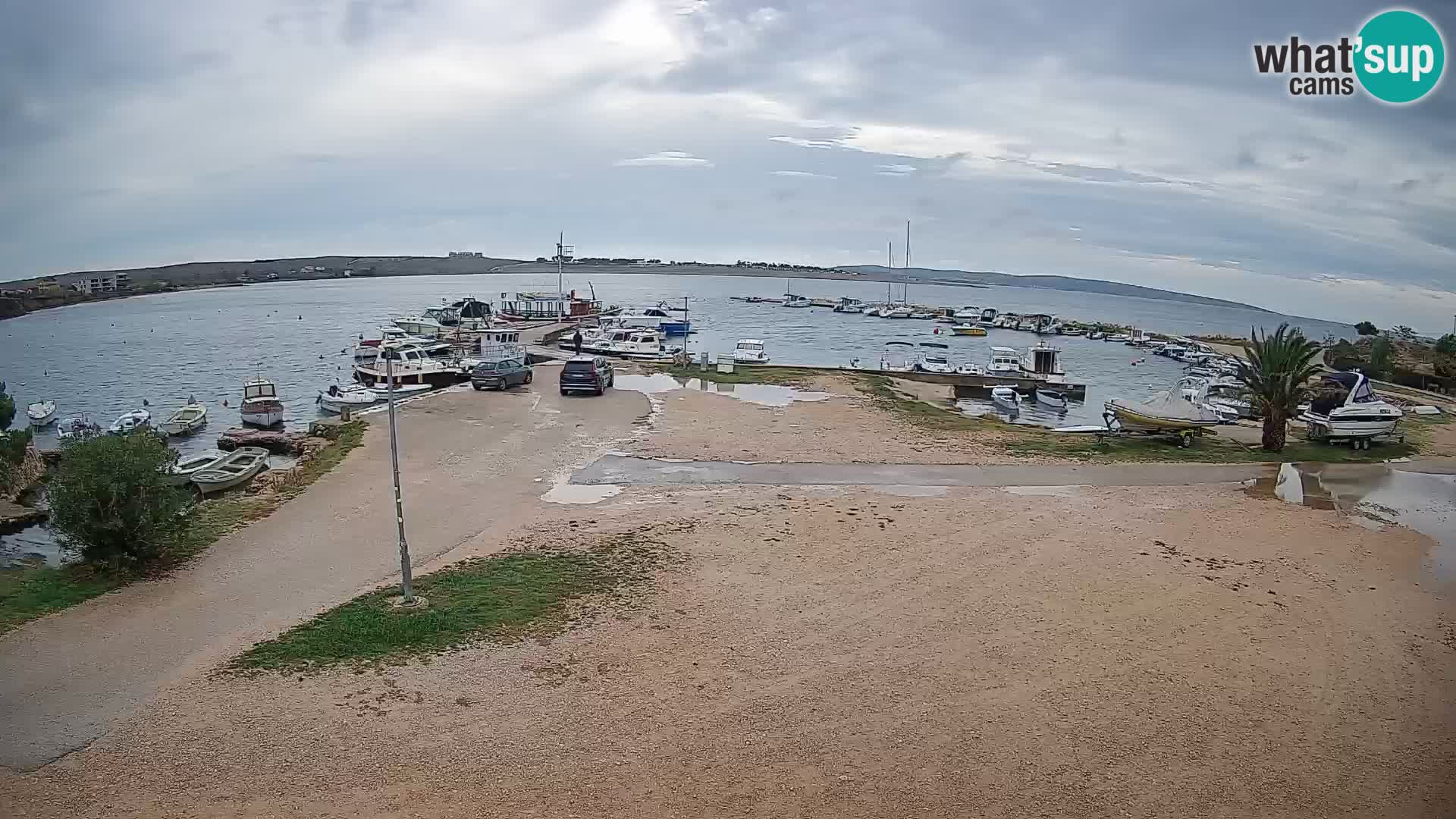 Camera en vivo Povljana – Pag isla