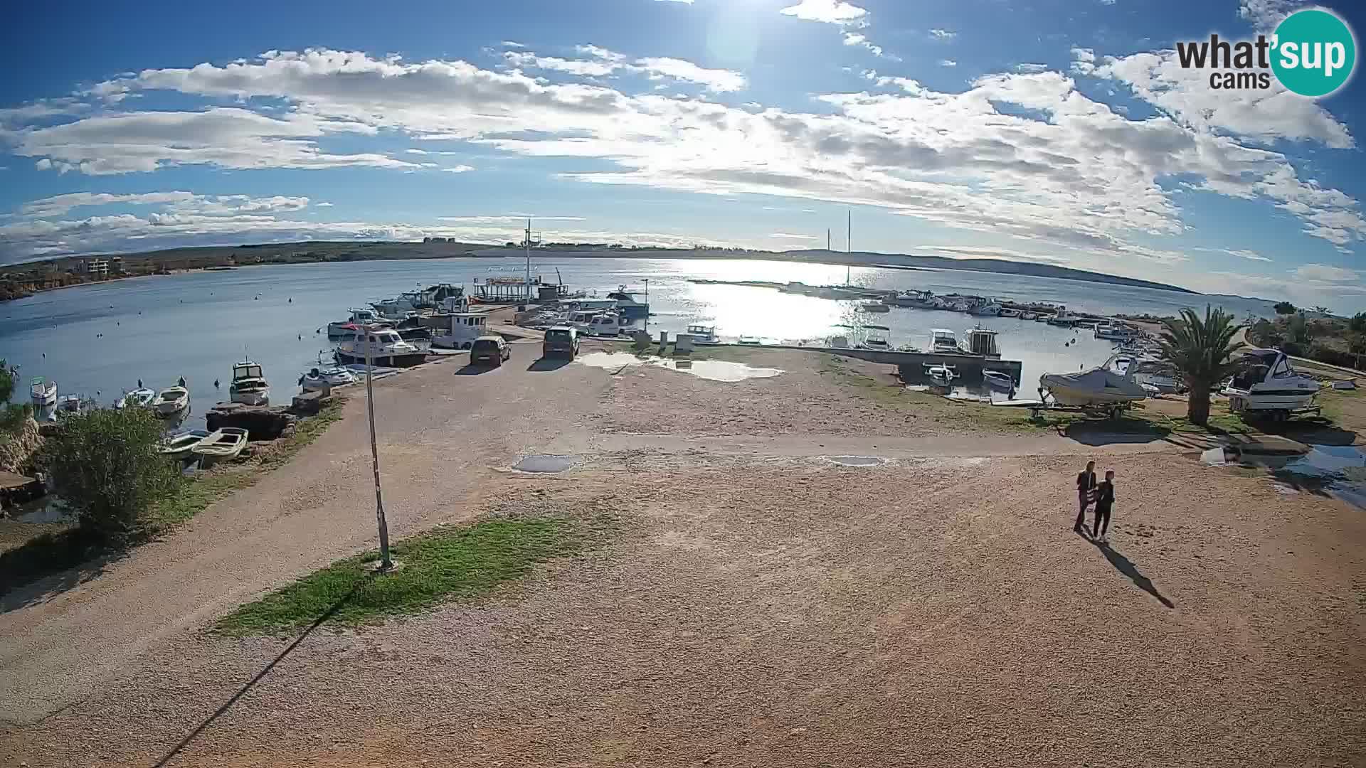 Camera en vivo Povljana – Pag isla