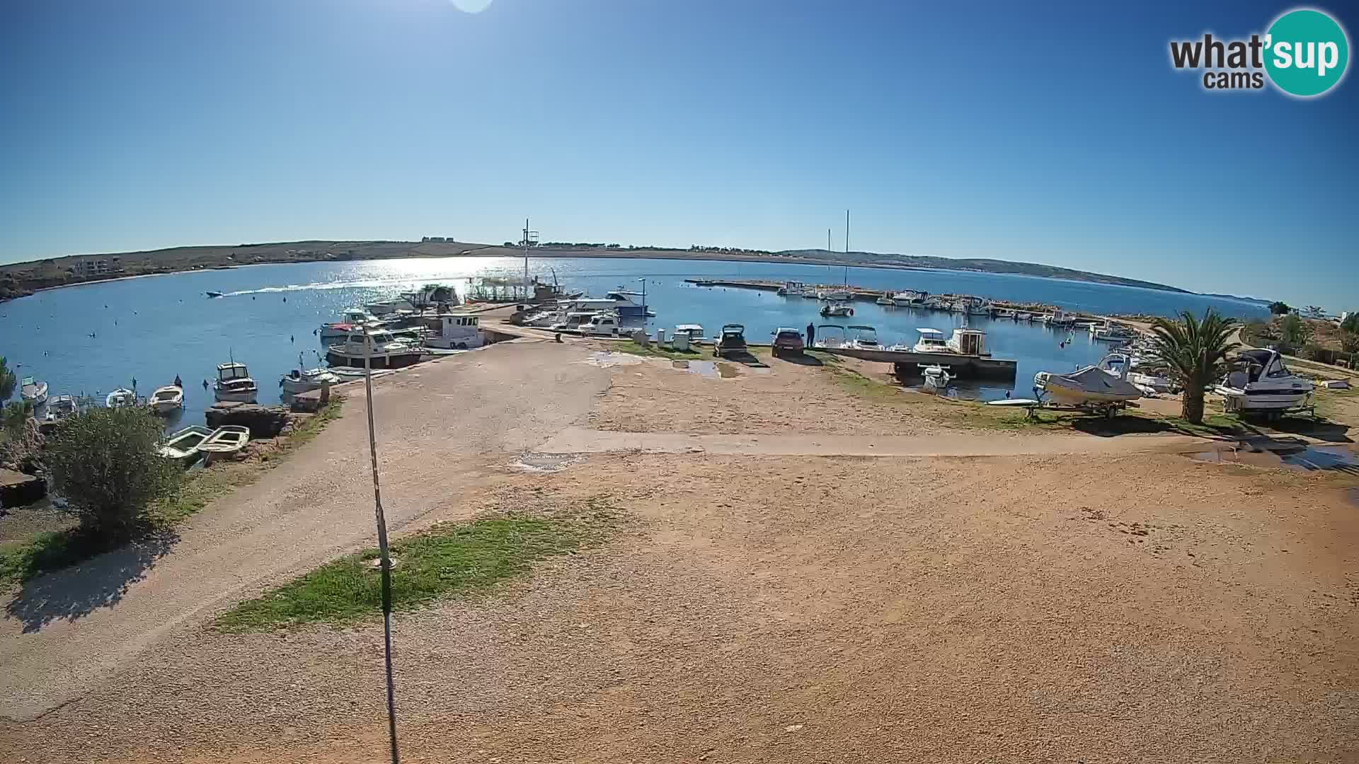 Camera en vivo Povljana – Pag isla