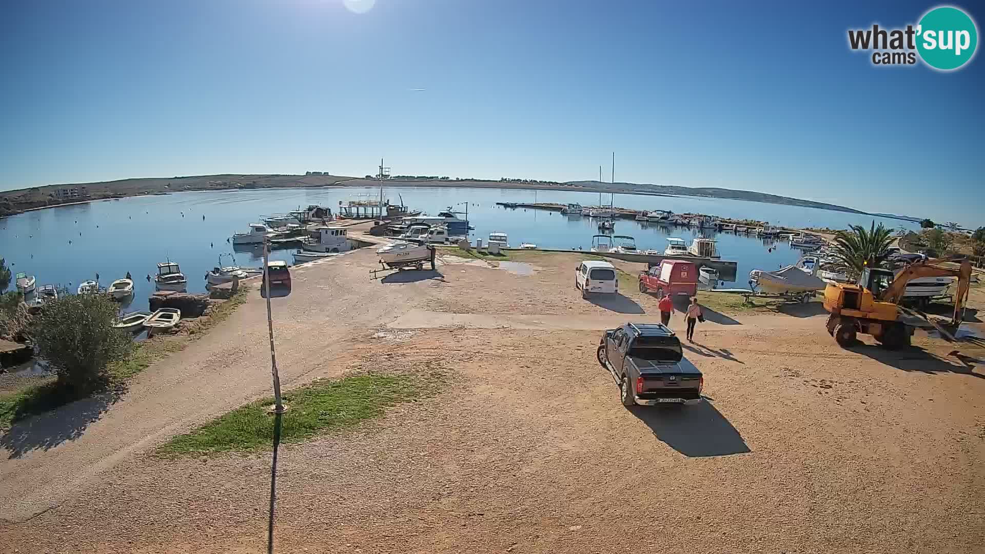 Camera en vivo Povljana – Pag isla