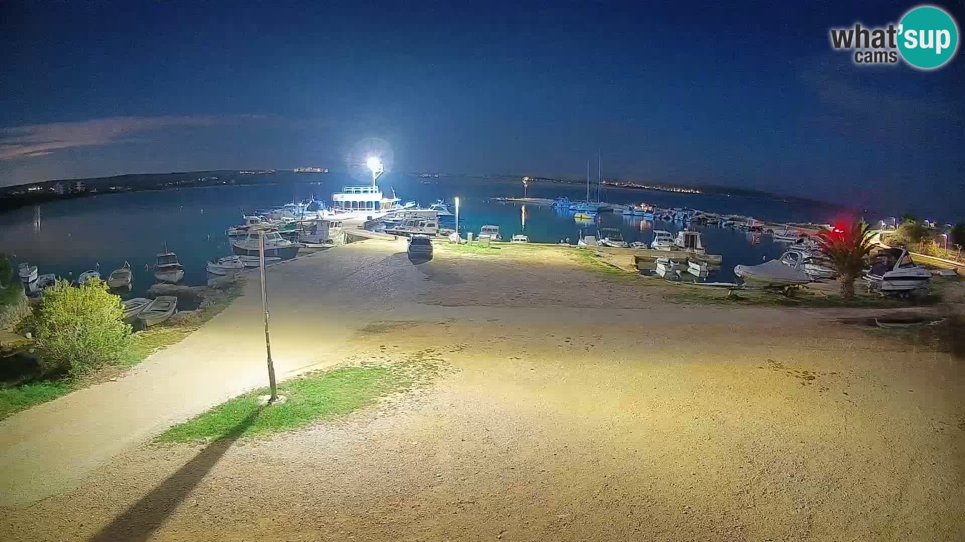 Camera en vivo Povljana – Pag isla