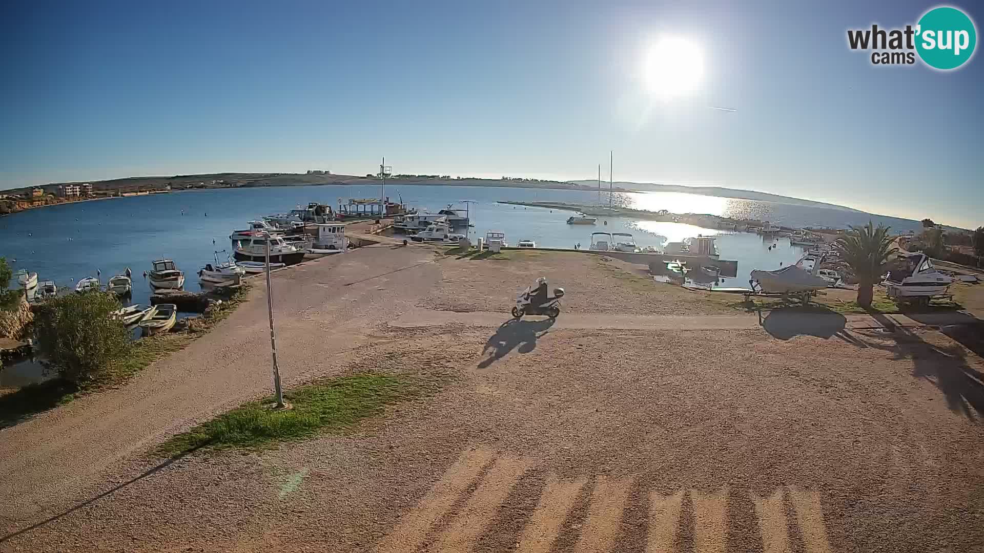 Camera en vivo Povljana – Pag isla