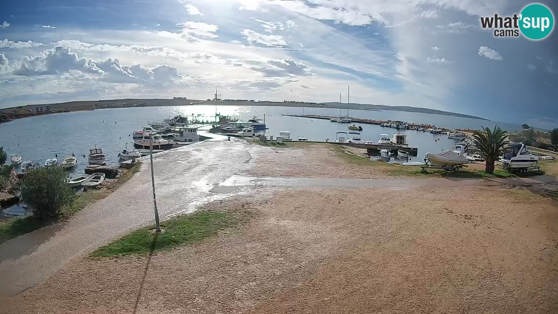 Camera en vivo Povljana – Pag isla