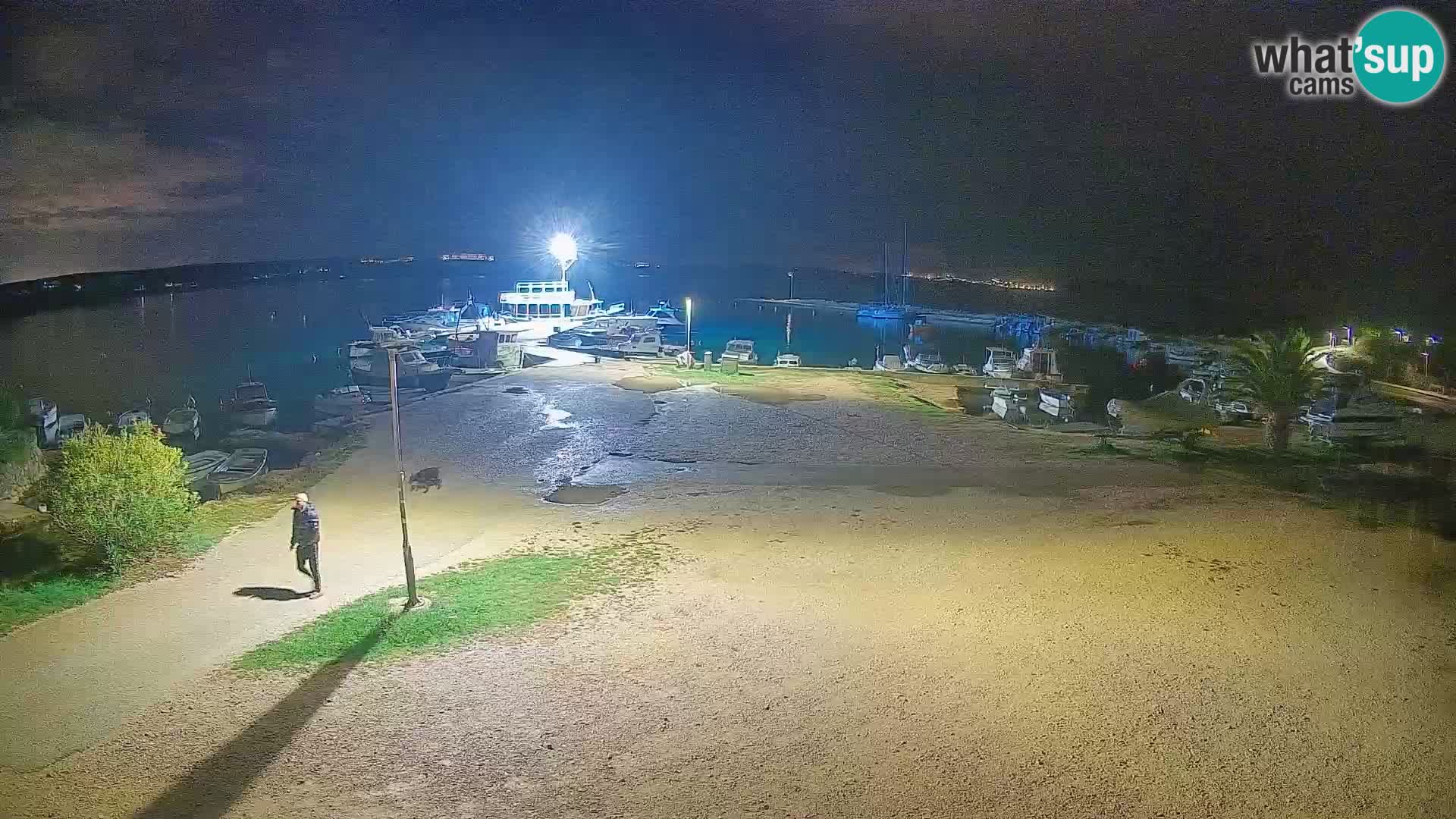 Webcam Povljana – Pag insel