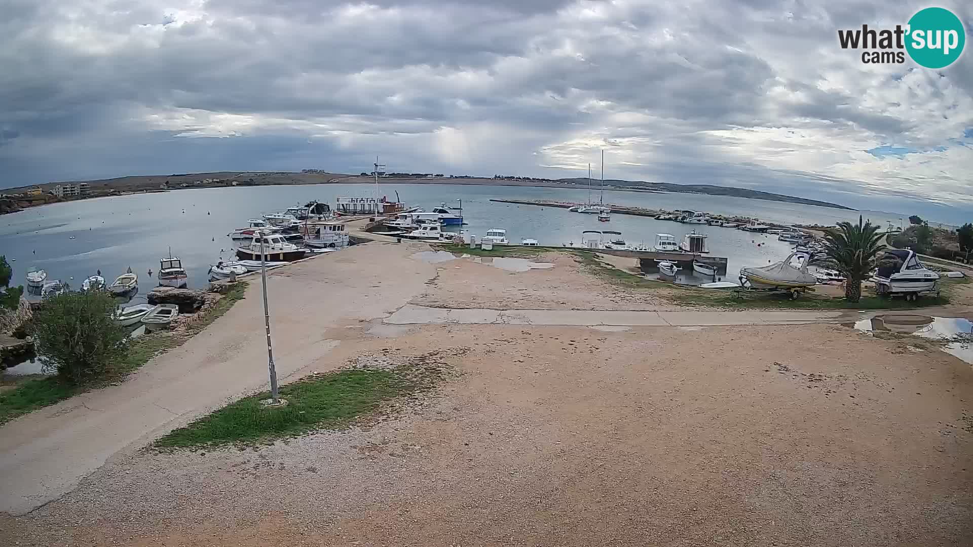 Camera en vivo Povljana – Pag isla