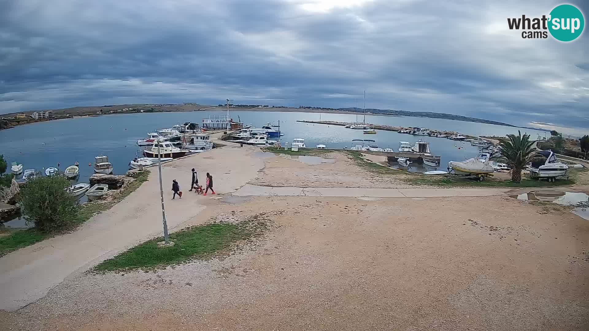 Camera en vivo Povljana – Pag isla