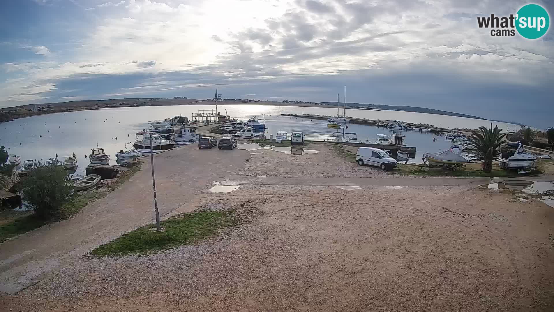 Camera en vivo Povljana – Pag isla