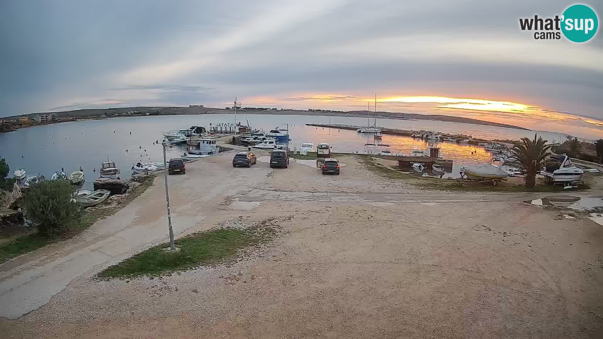 Camera en vivo Povljana – Pag isla