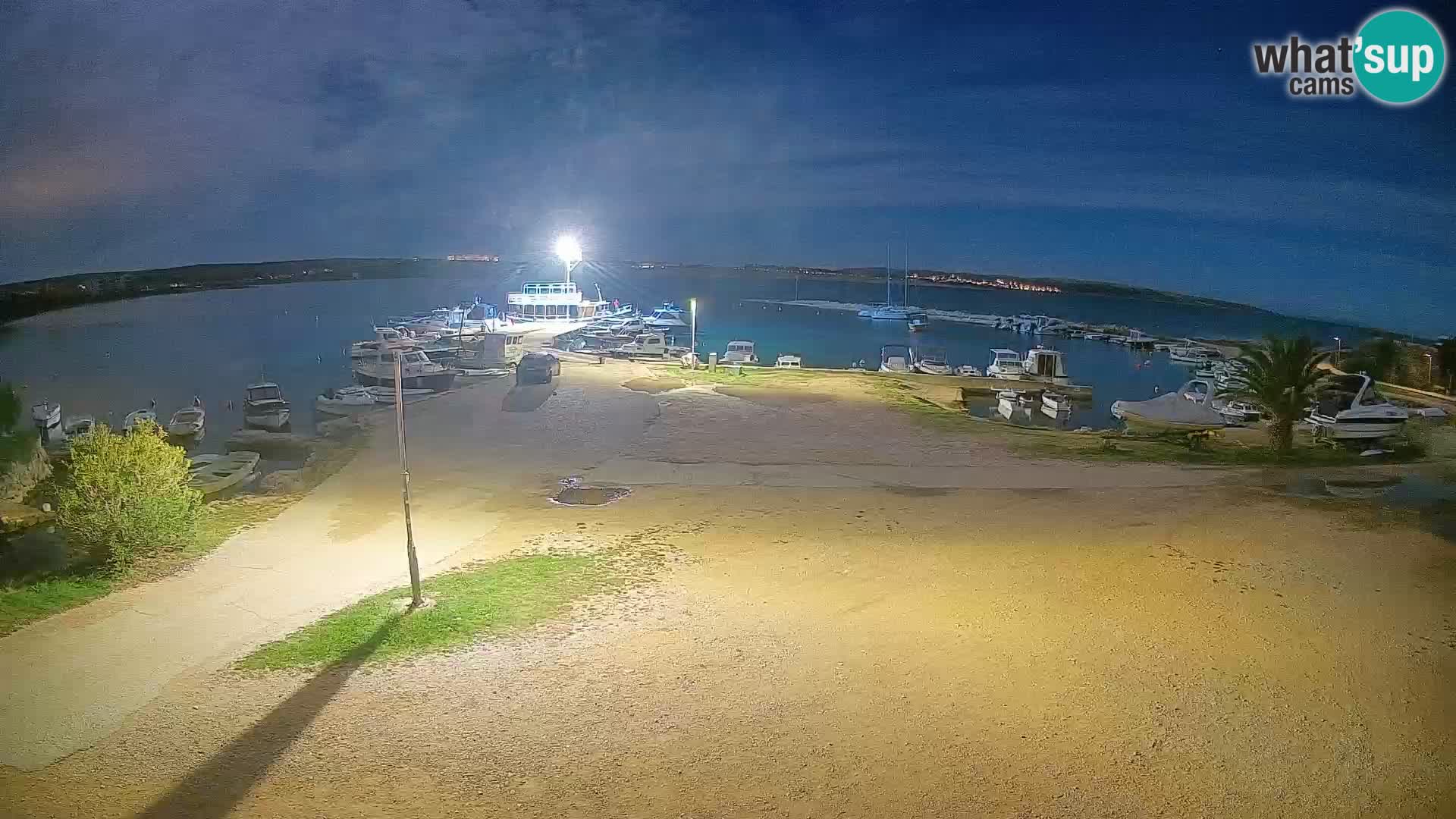 Camera en vivo Povljana – Pag isla