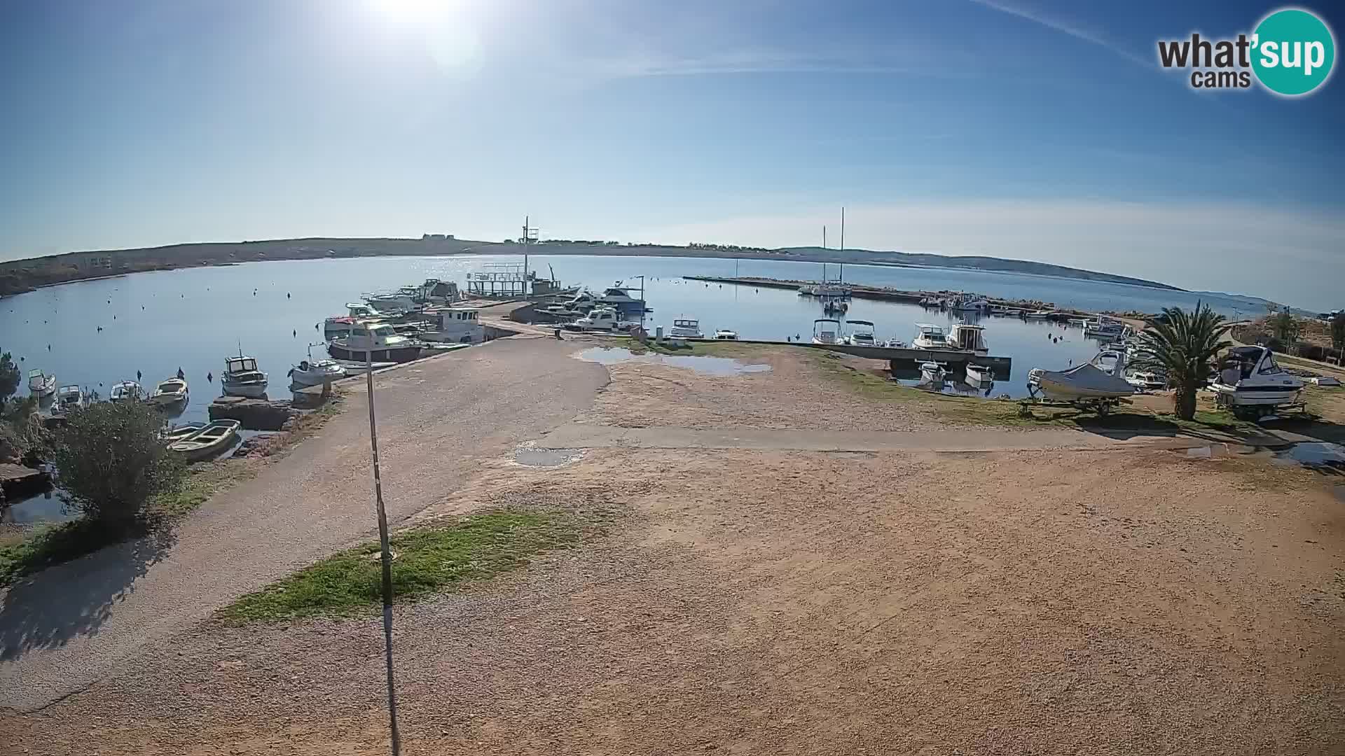 Camera en vivo Povljana – Pag isla