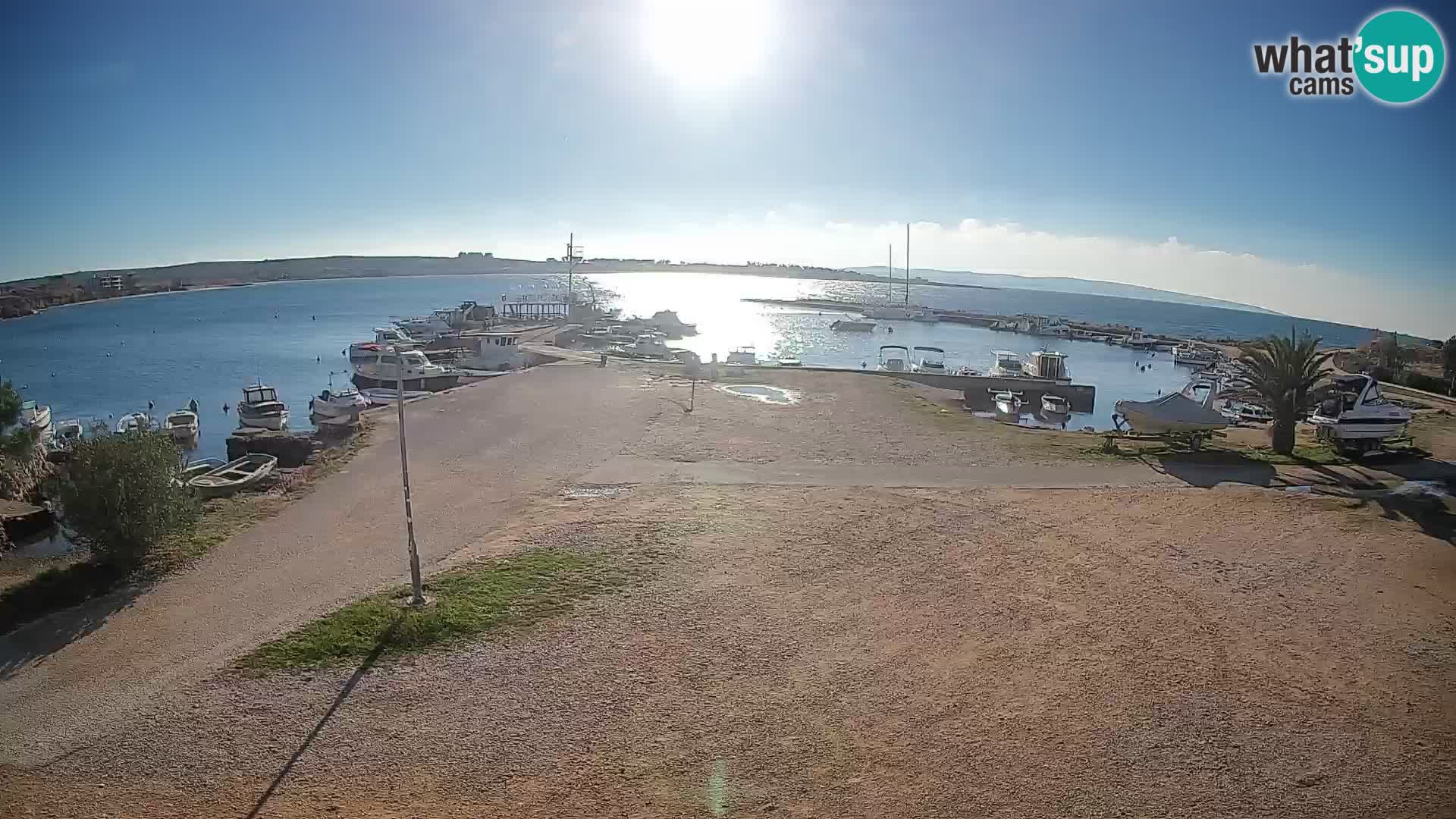 Camera en vivo Povljana – Pag isla