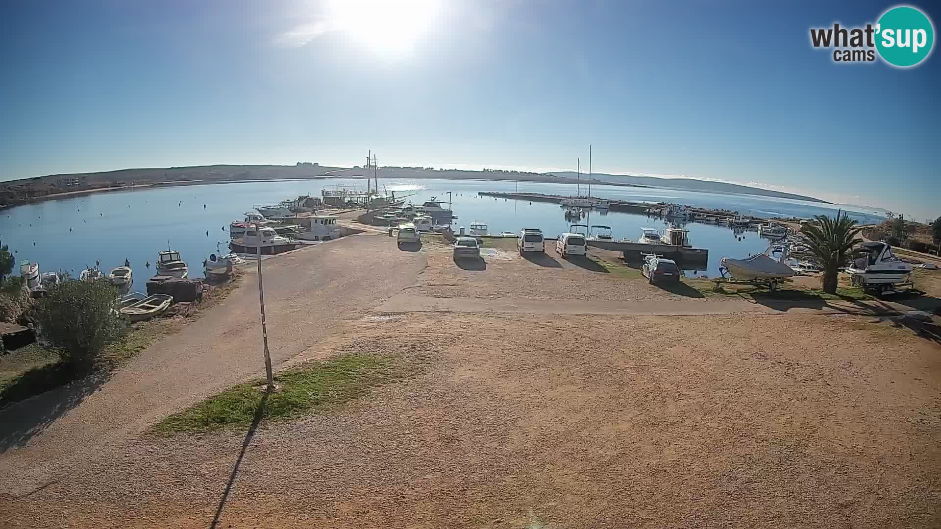 Camera en vivo Povljana – Pag isla