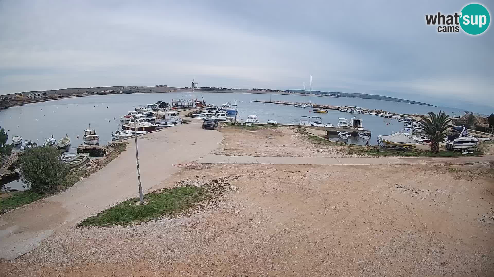 Camera en vivo Povljana – Pag isla