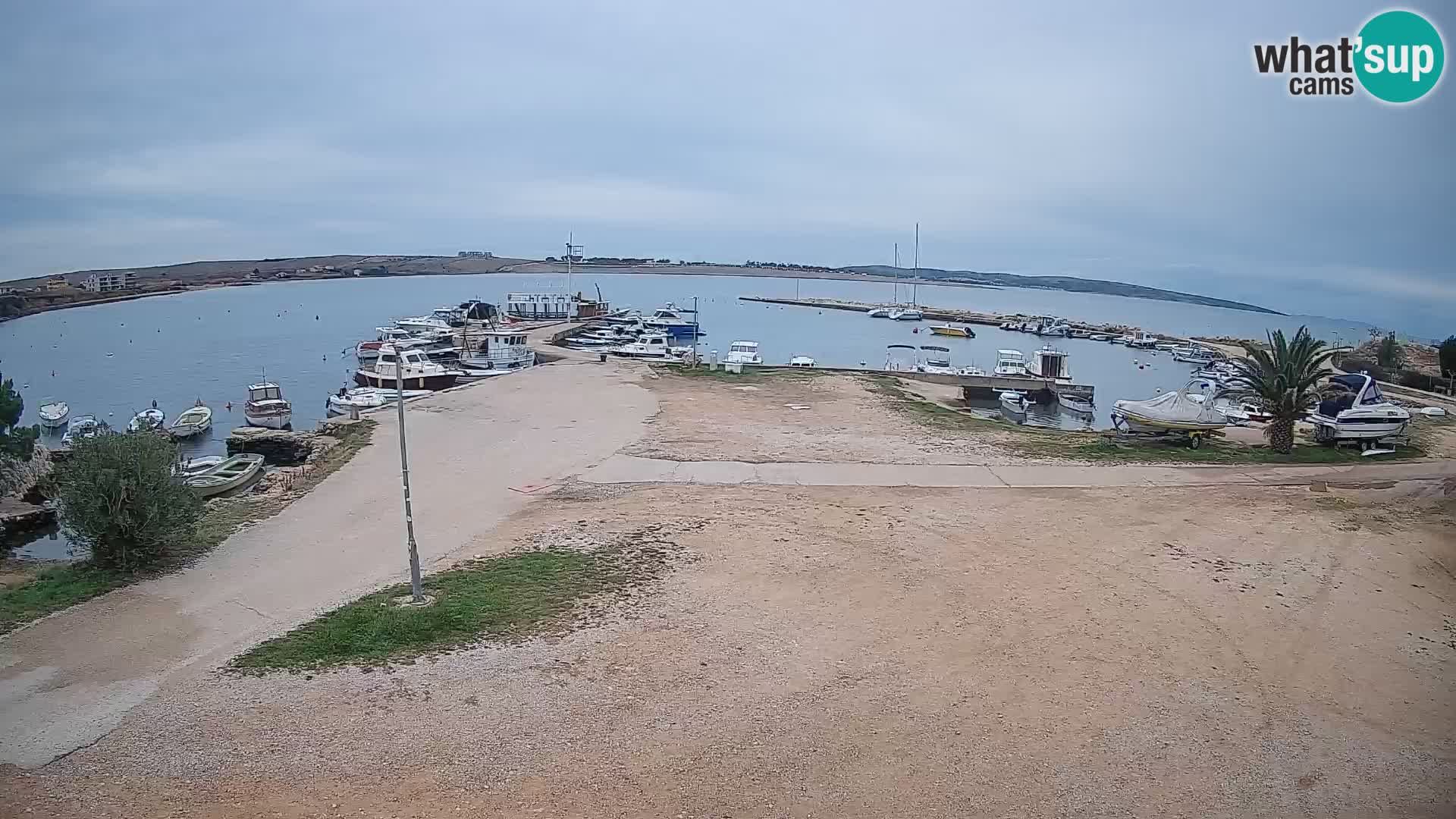 Camera en vivo Povljana – Pag isla