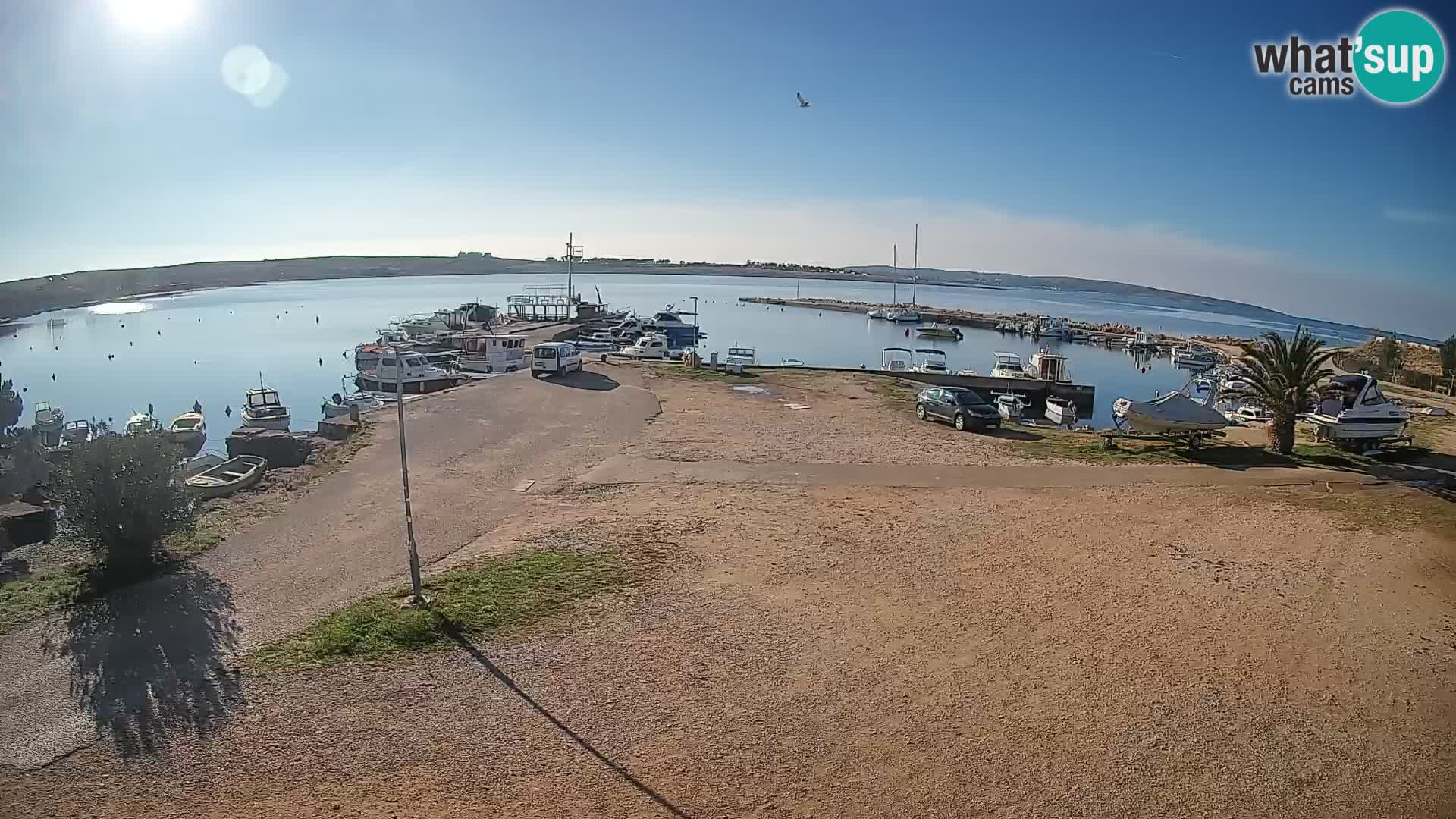 Camera en vivo Povljana – Pag isla