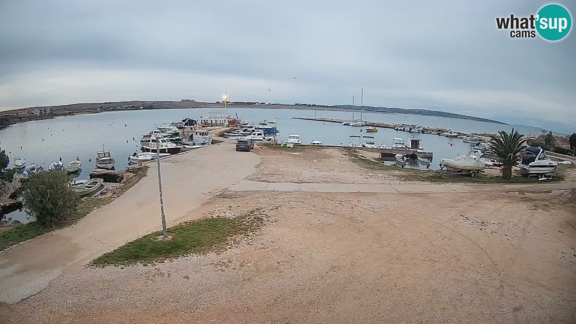 Livecam Pogliana – isola di Pago