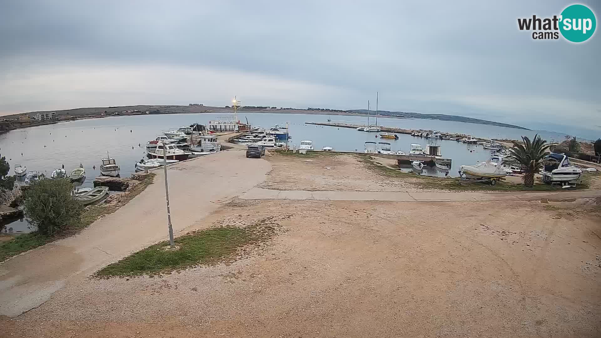 Camera en vivo Povljana – Pag isla