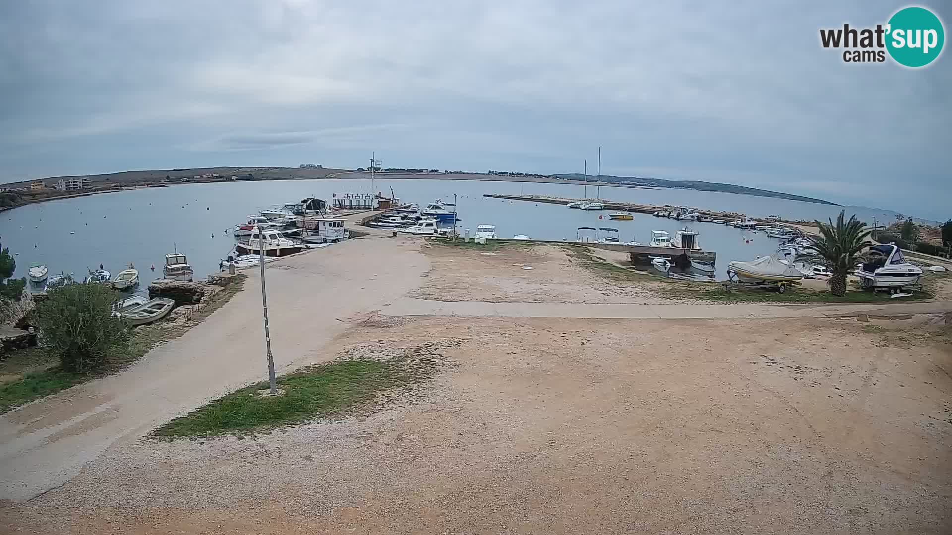 Kamera v živo Povljana – otok Pag