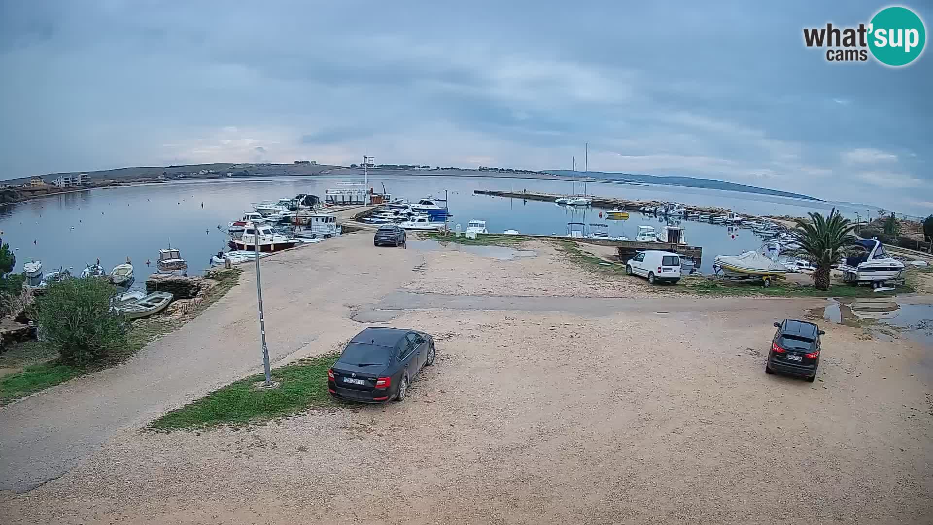 Livecam Pogliana – isola di Pago