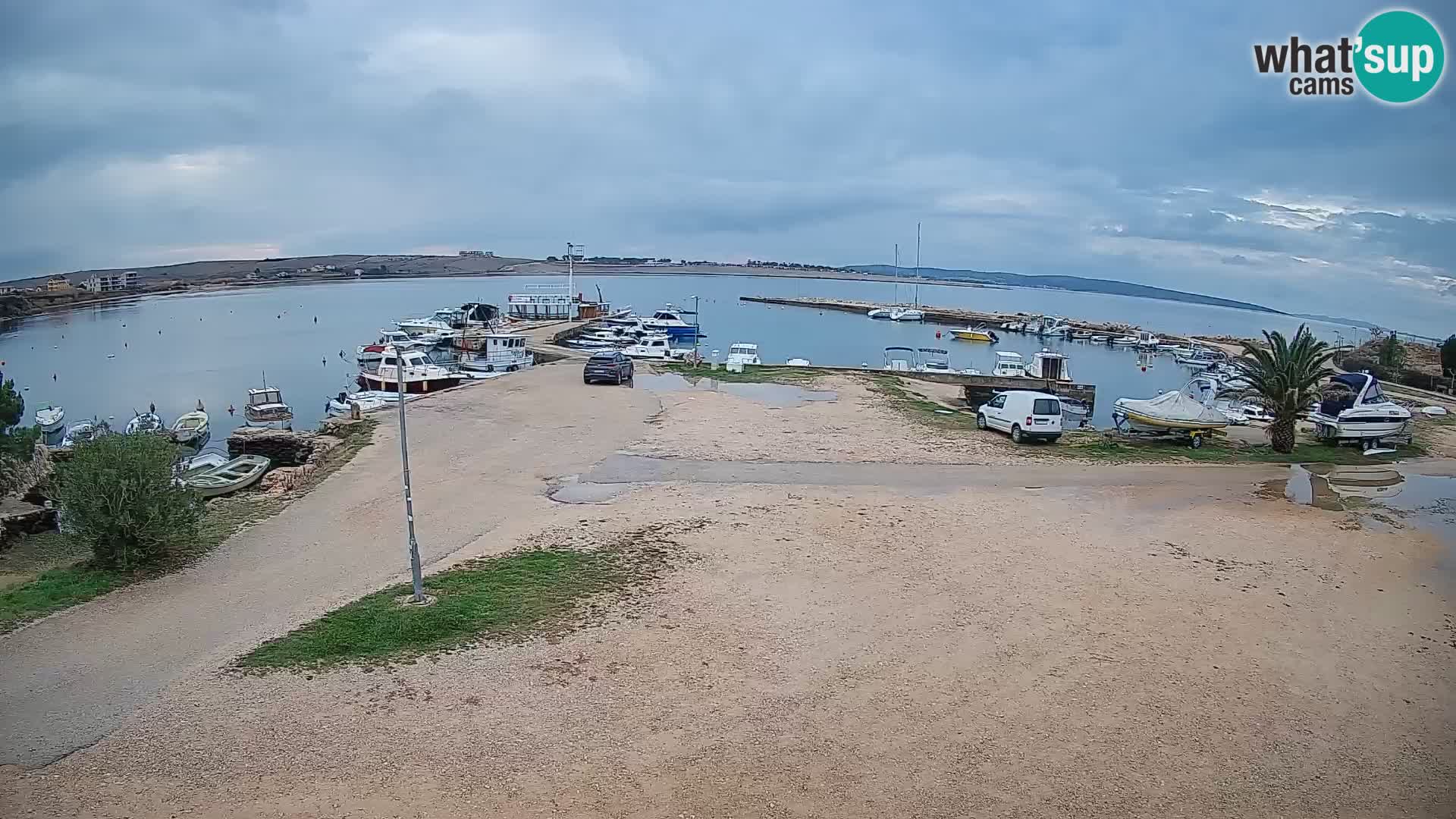 Camera en vivo Povljana – Pag isla