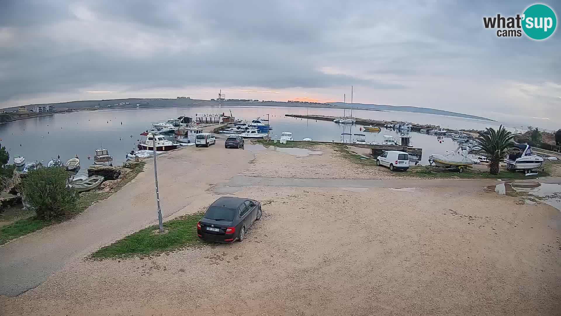 Camera en vivo Povljana – Pag isla