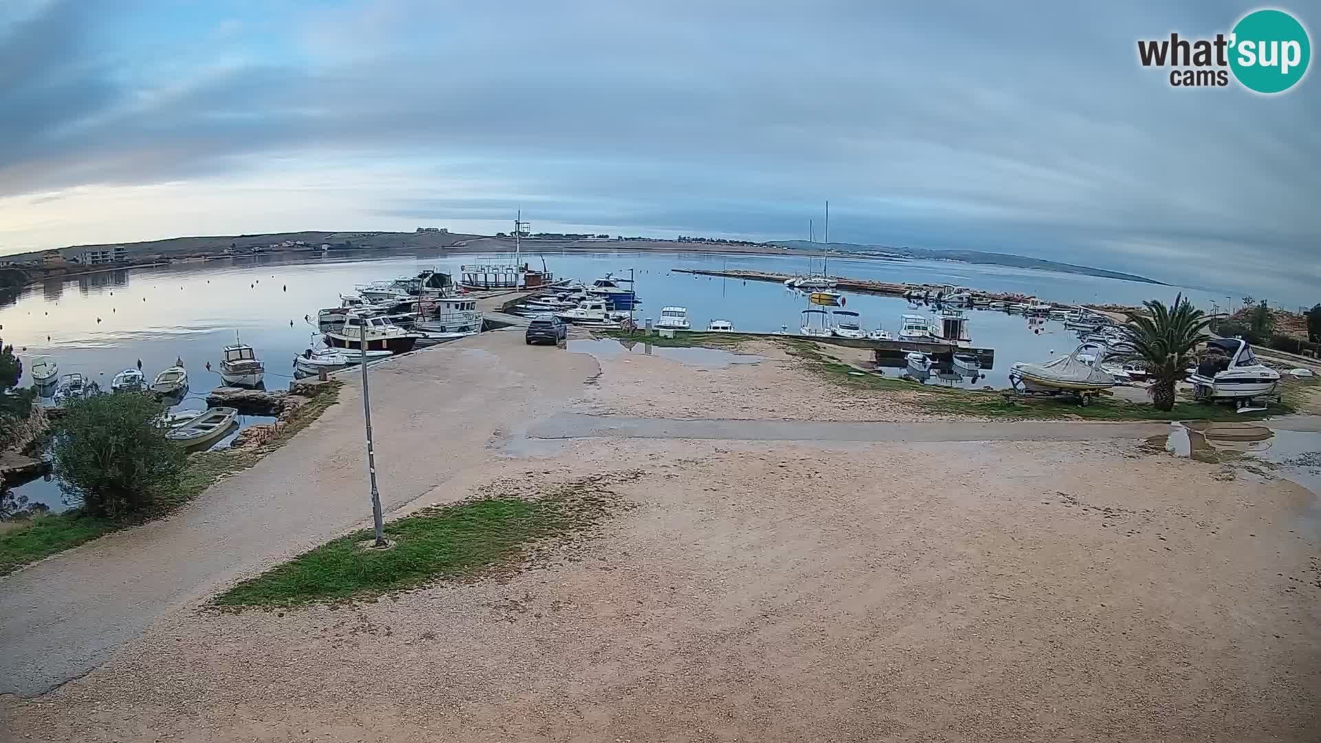 Camera en vivo Povljana – Pag isla