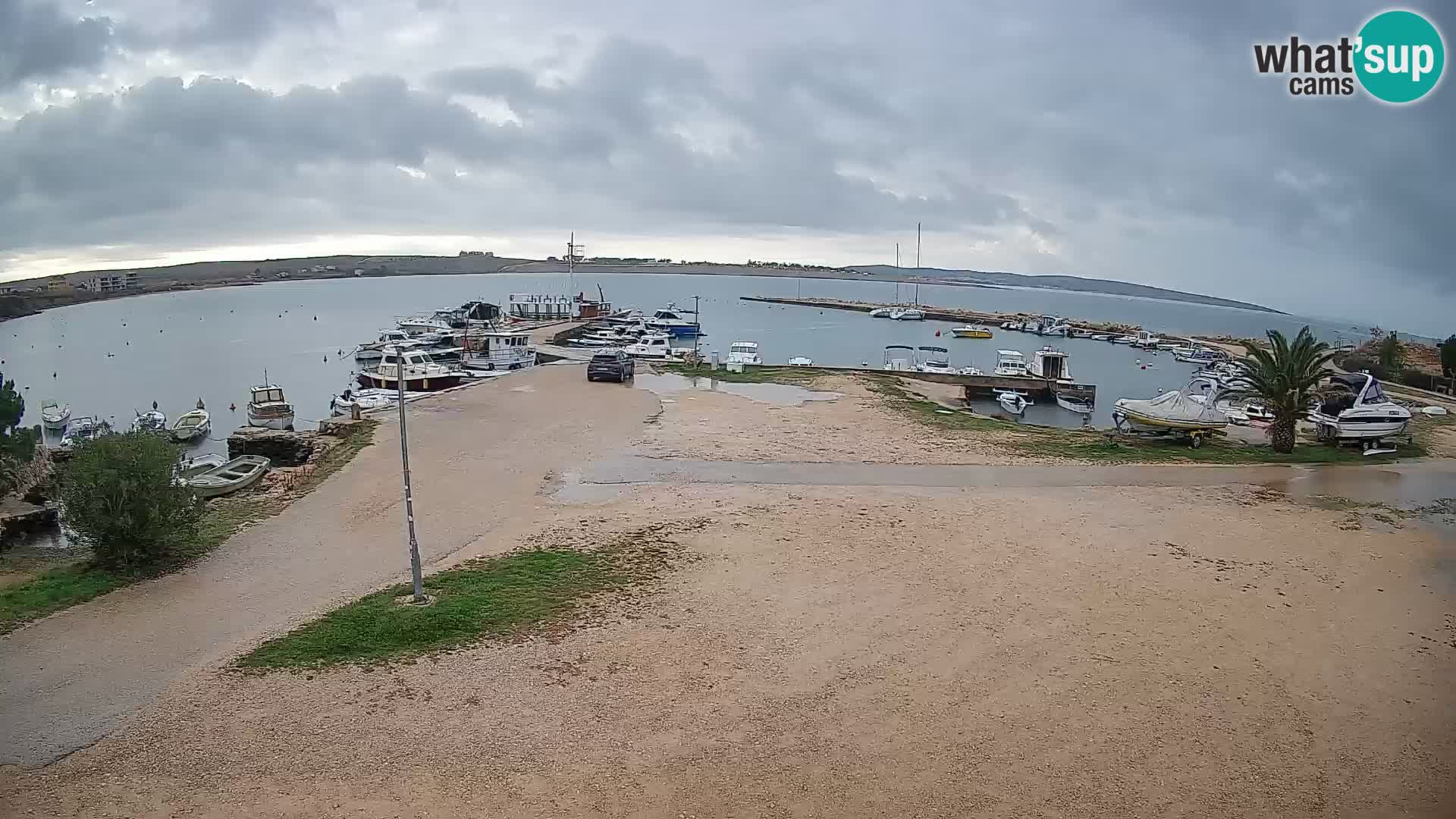 Camera en vivo Povljana – Pag isla