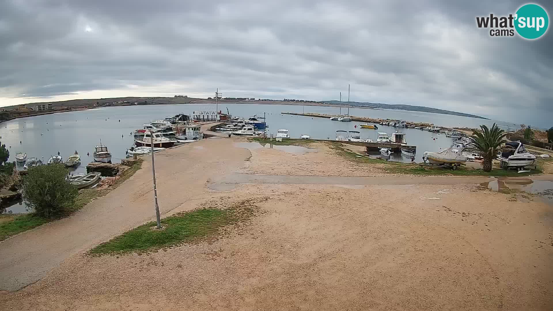 Camera en vivo Povljana – Pag isla