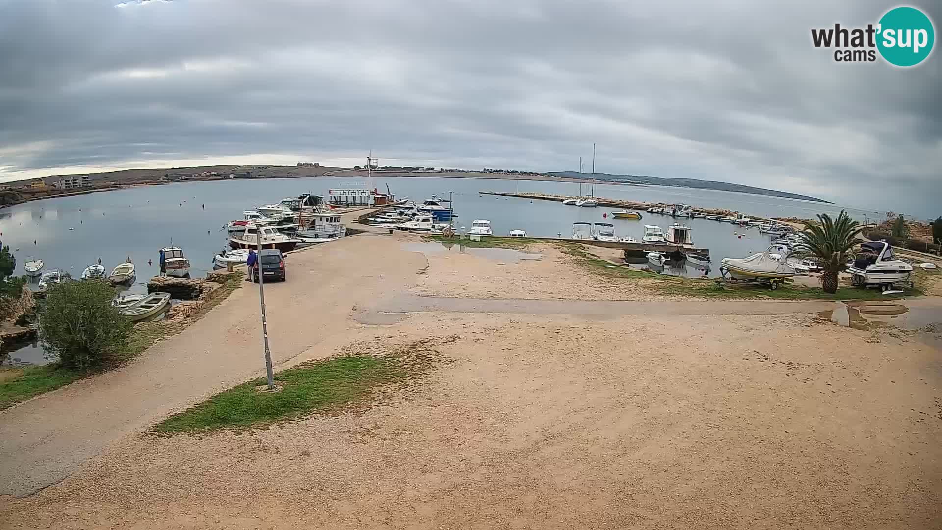 Camera en vivo Povljana – Pag isla
