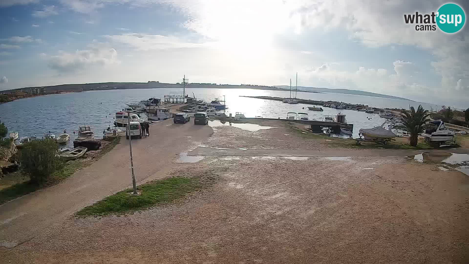 Camera en vivo Povljana – Pag isla