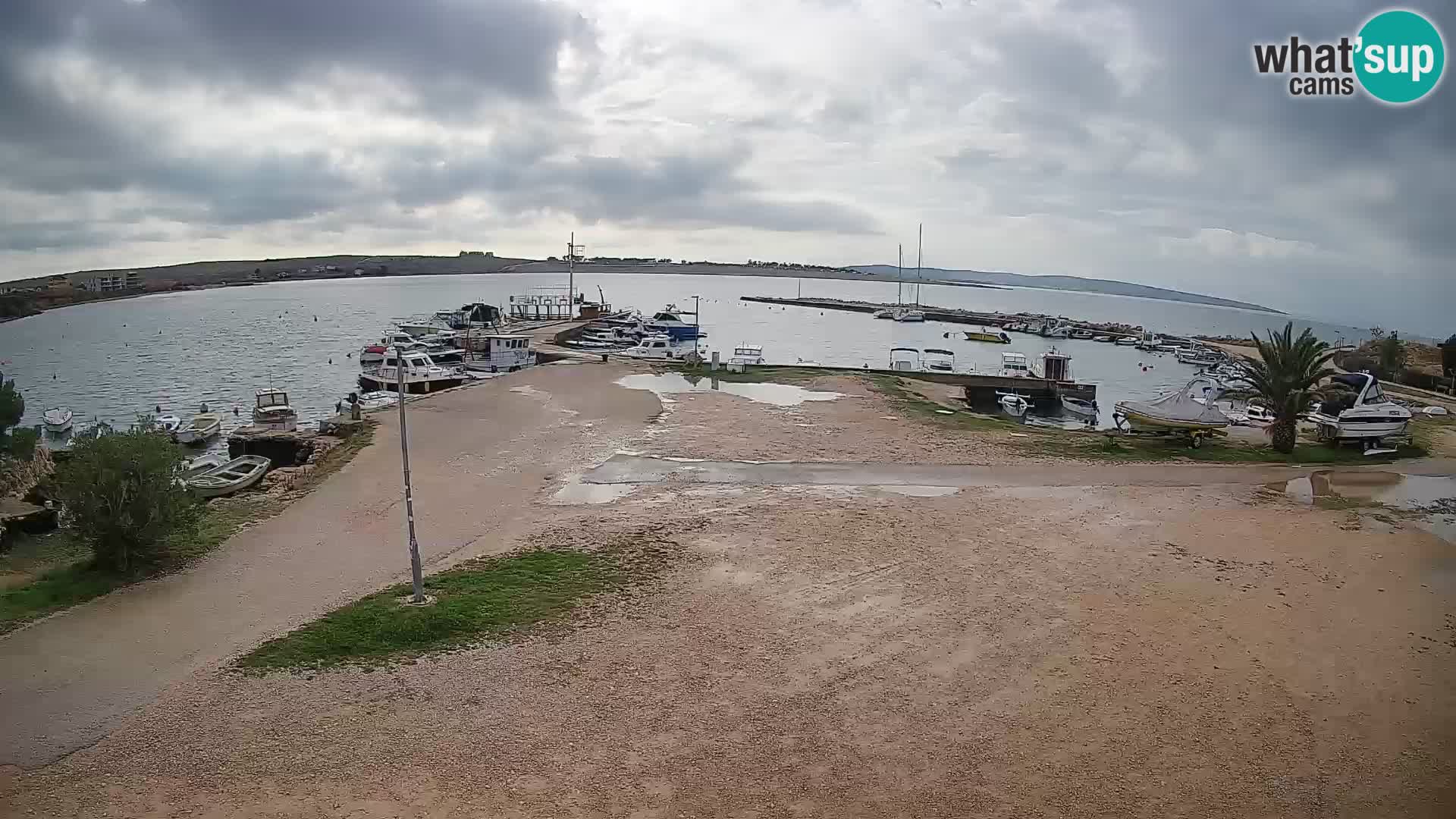 Livecam Pogliana – isola di Pago