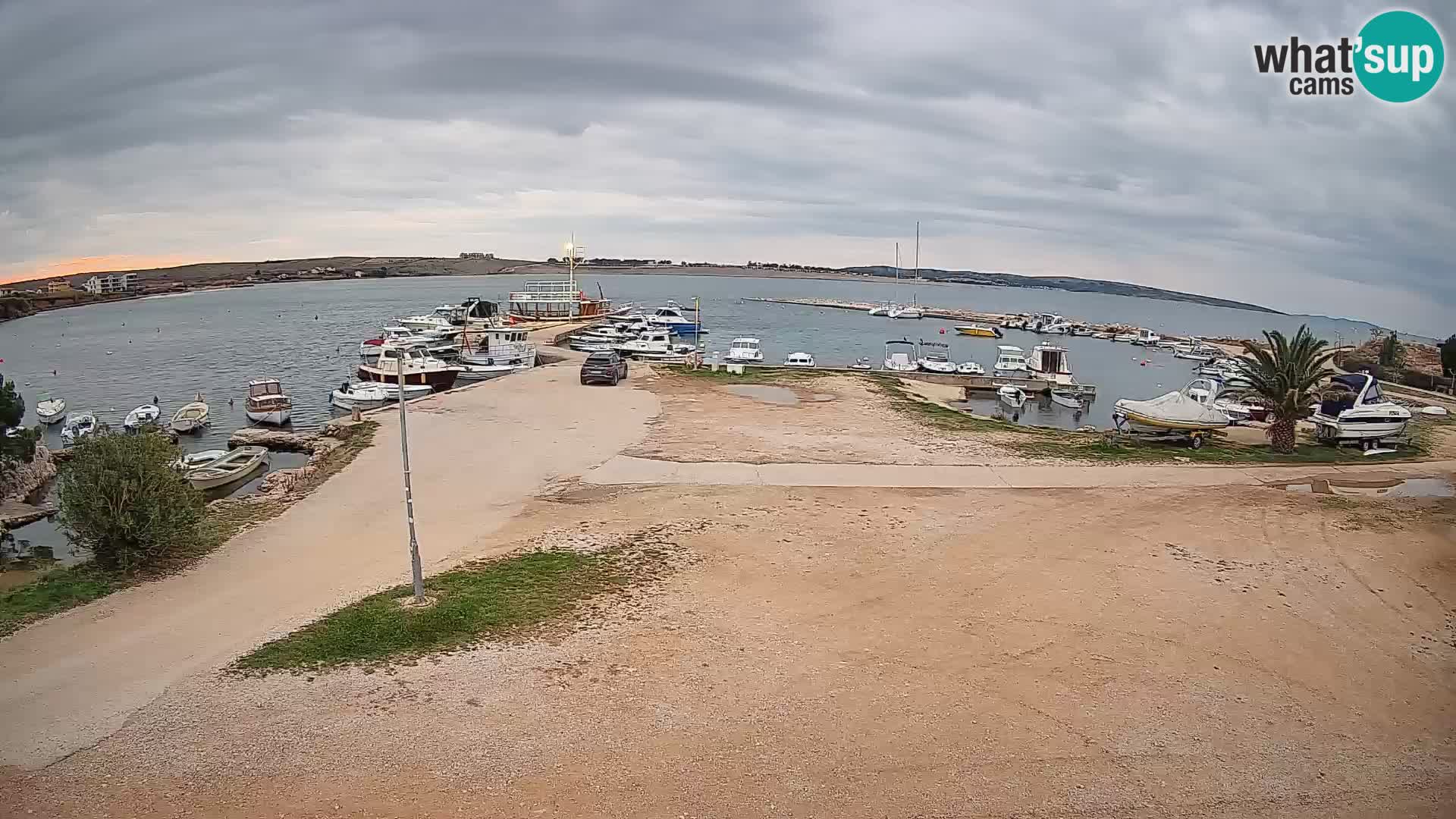 Camera en vivo Povljana – Pag isla