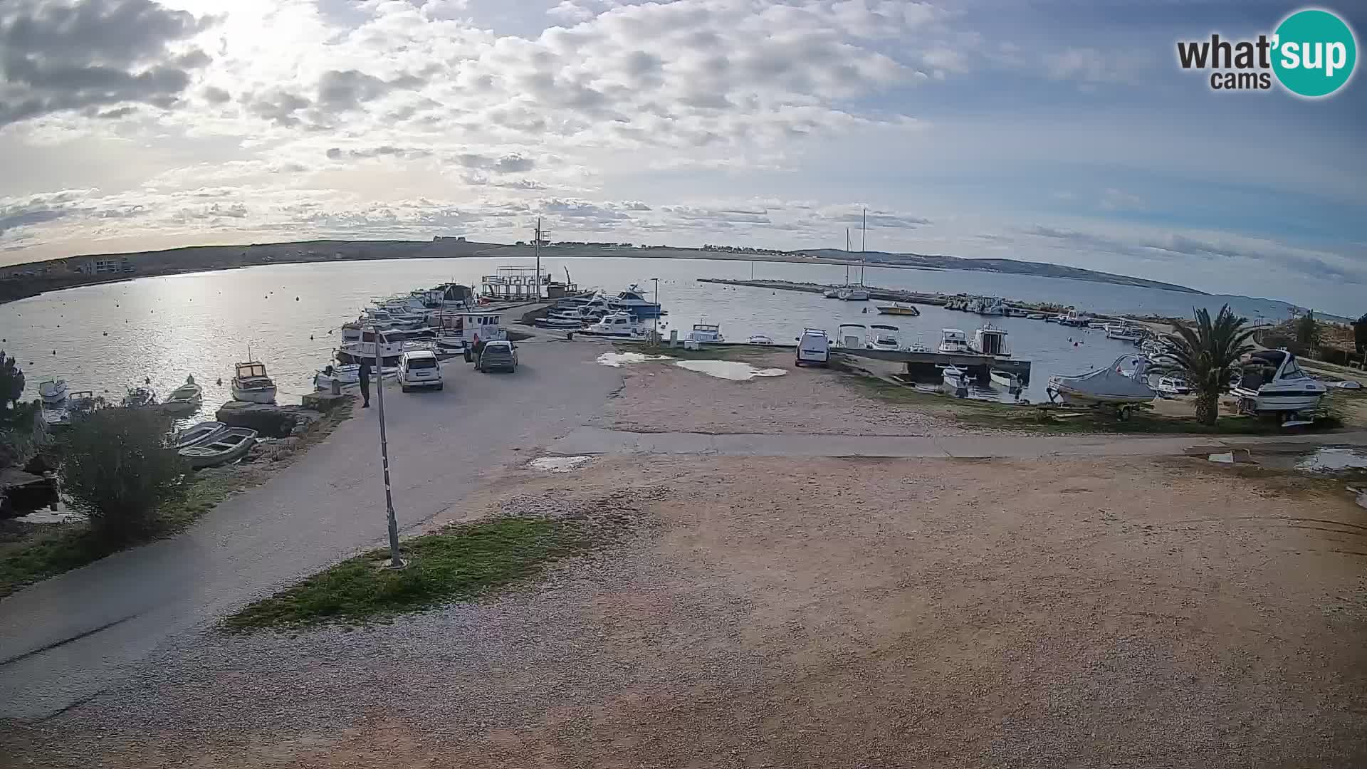 Camera en vivo Povljana – Pag isla