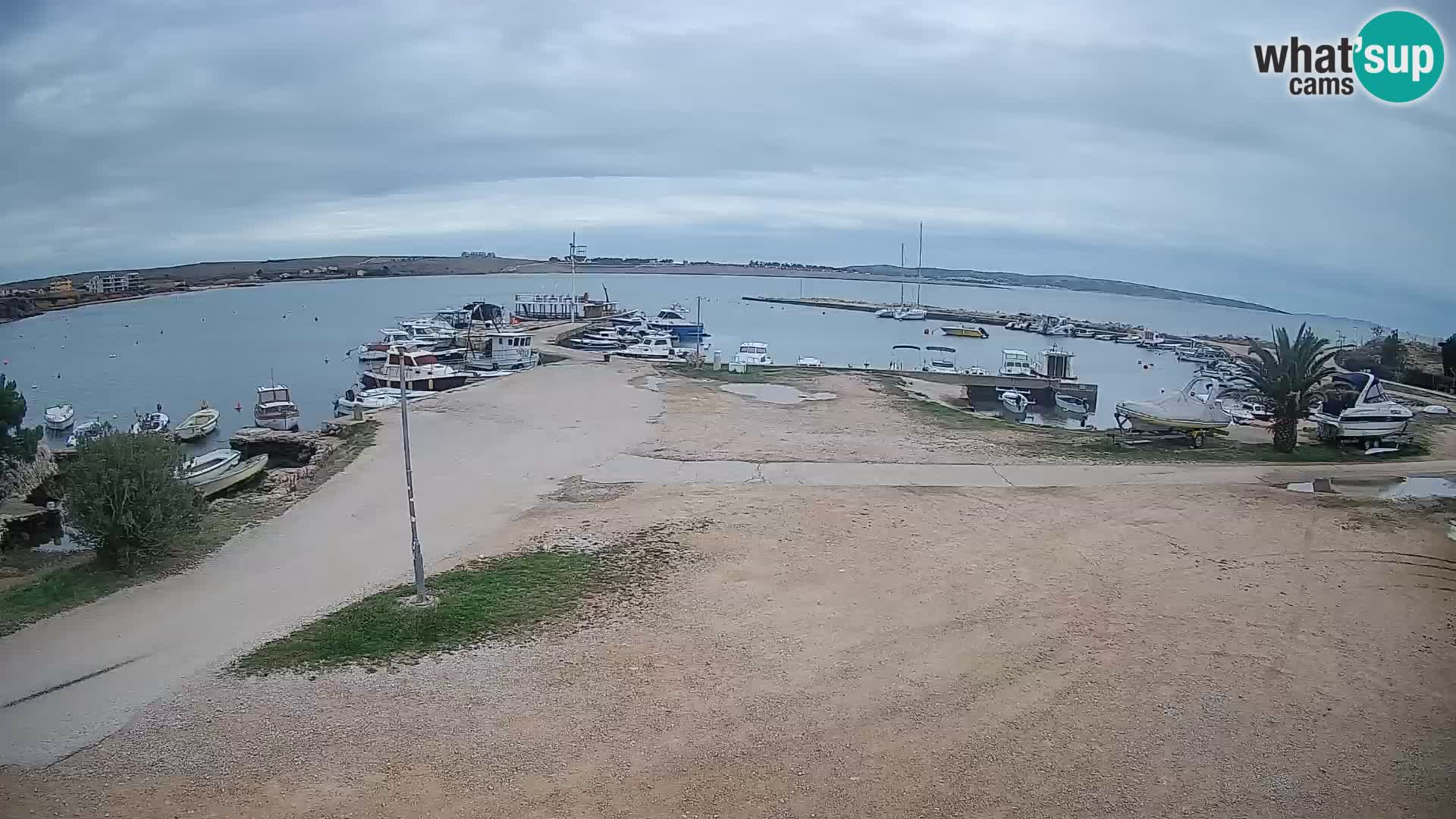 Camera en vivo Povljana – Pag isla