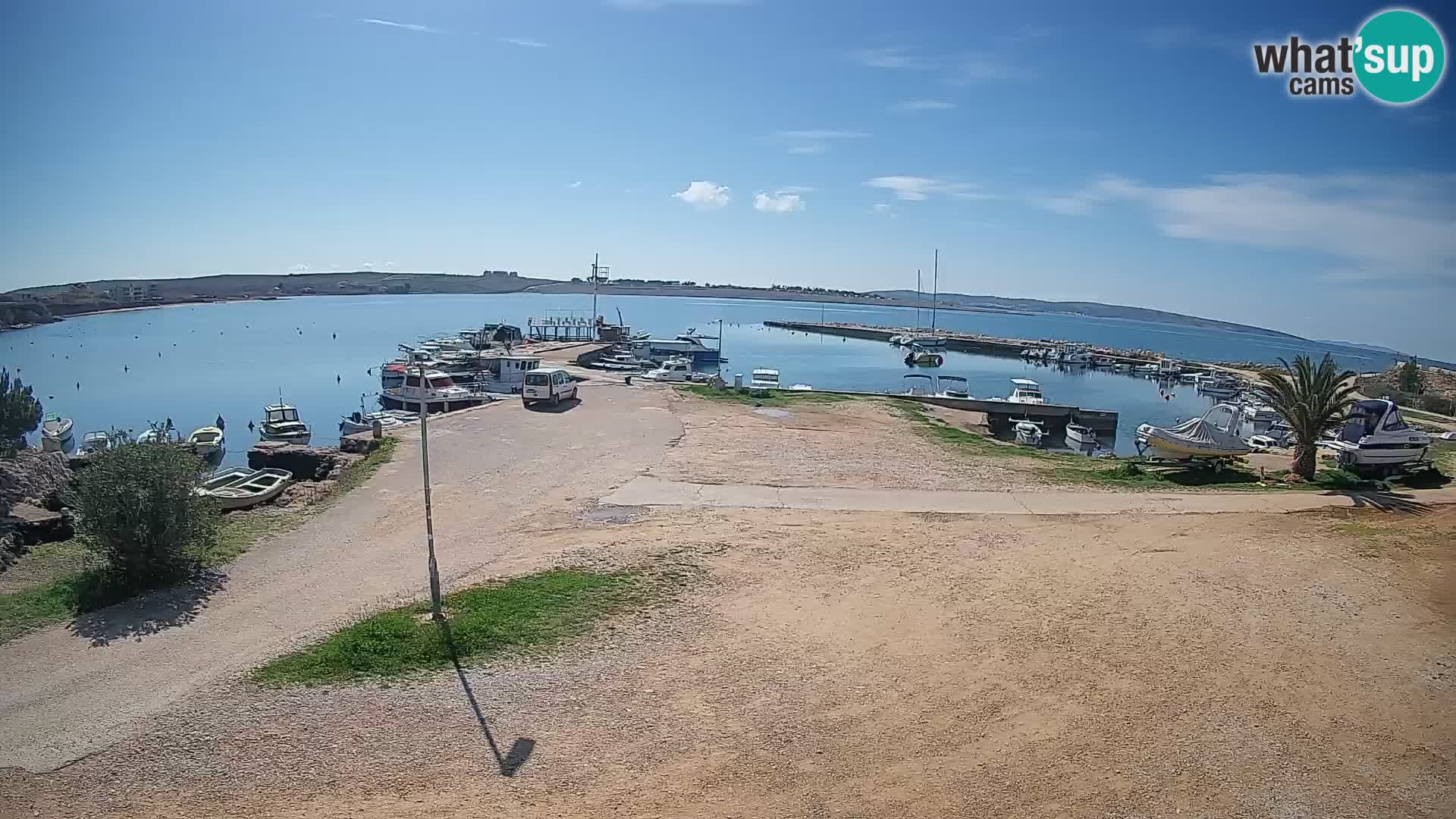 Camera en vivo Povljana – Pag isla